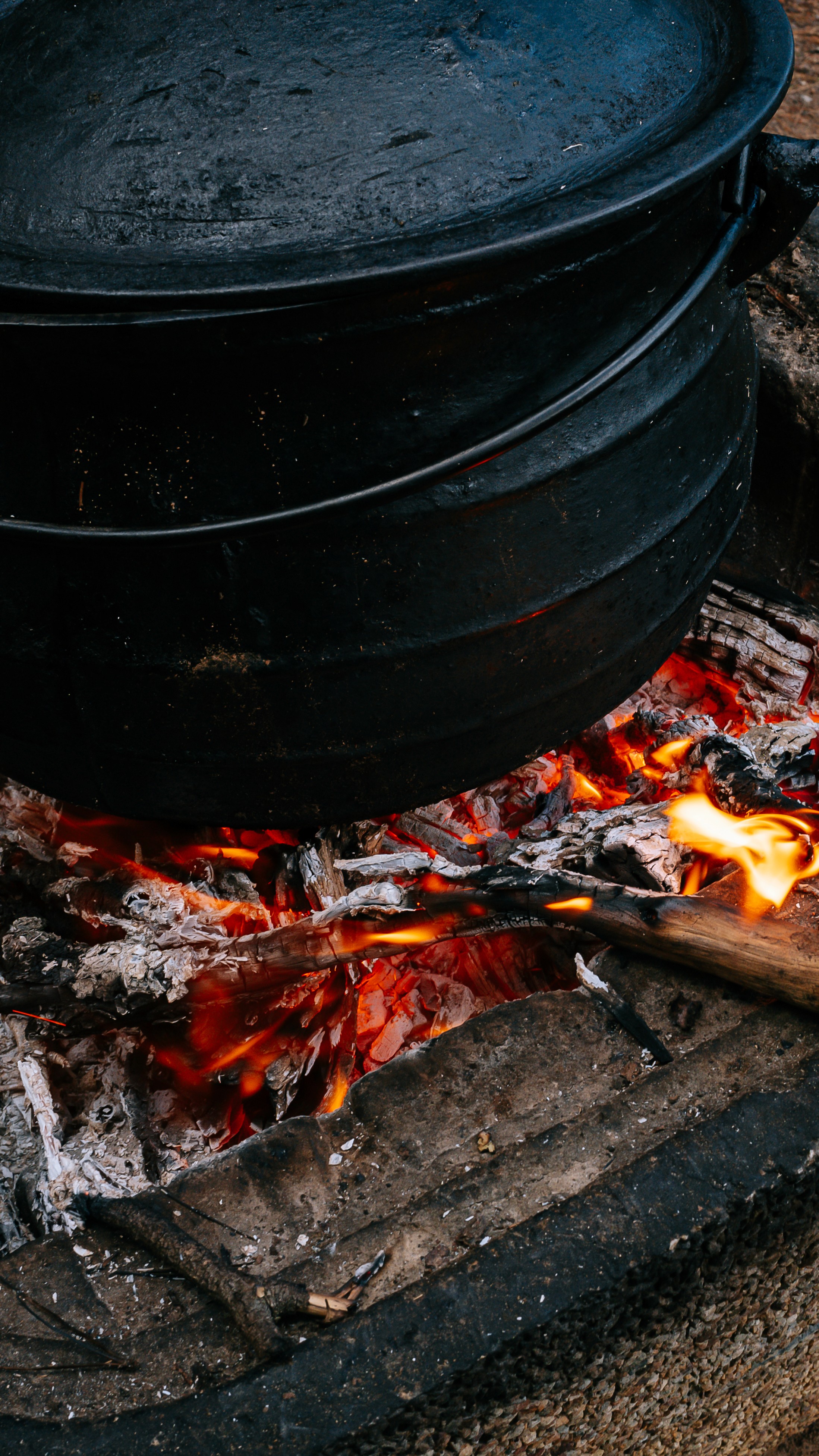 Zwibodo Celebrates Culture Through Food – Taste the Tradition