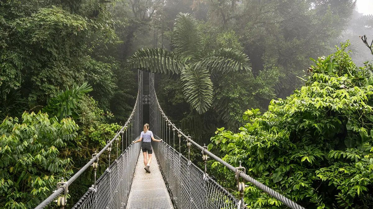 A hiker crossing a suspension hanging bridge through misty rainforest canopy near La Fortuna, Costa Rica.