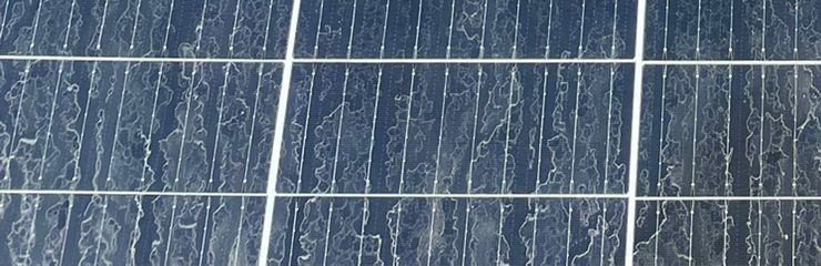 Reziduuri calcar după ploaie pe panouri fotovoltaice București