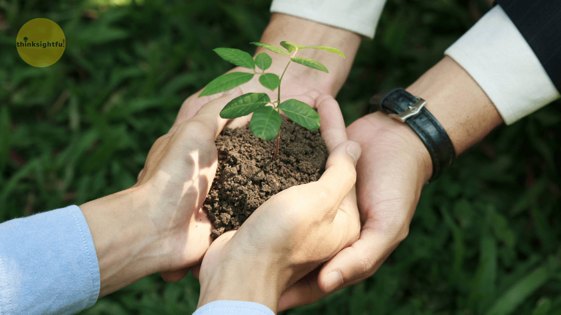 Your team must believe you are growing a sapling together, and be accountable for it.