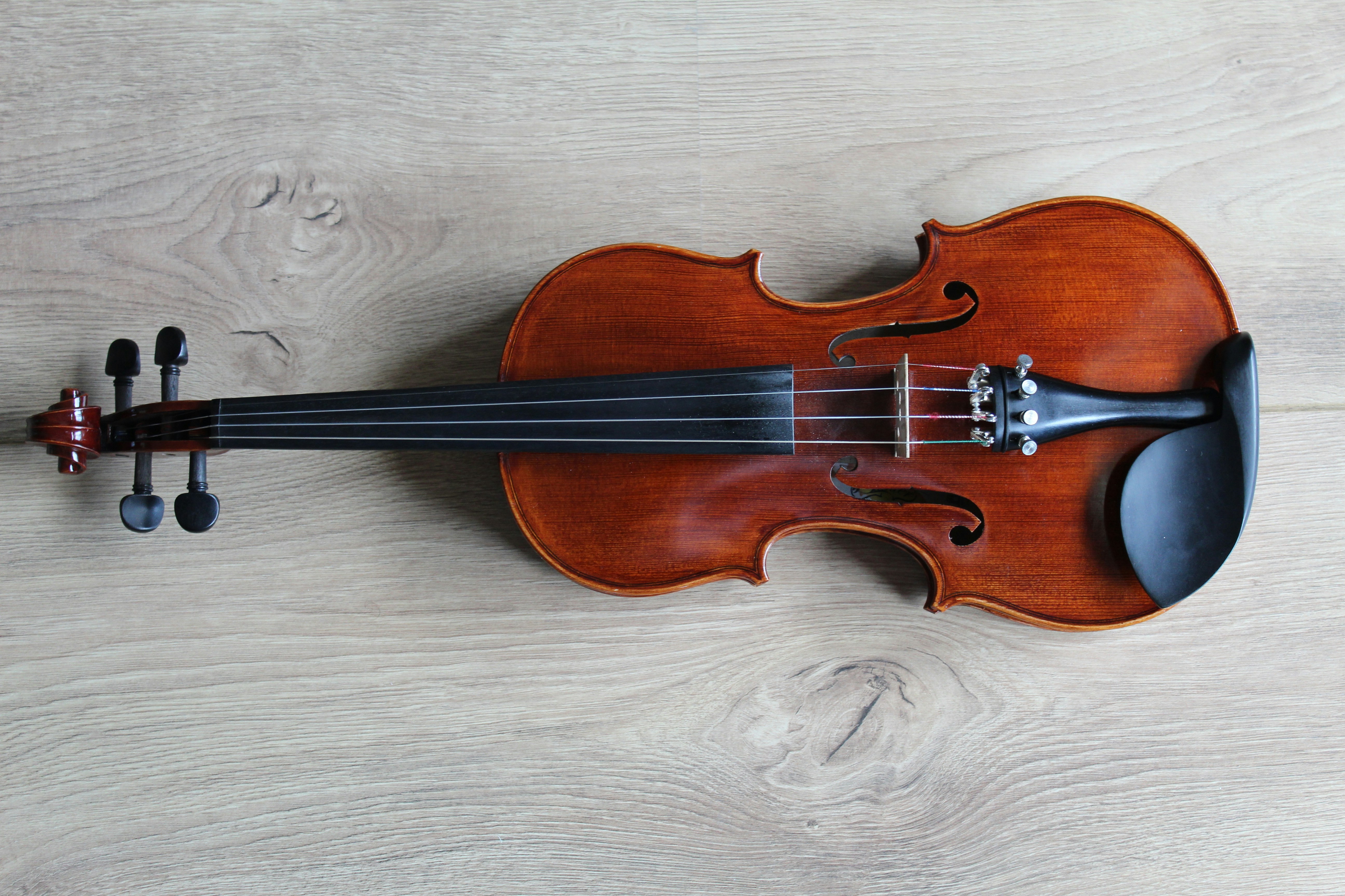 violin