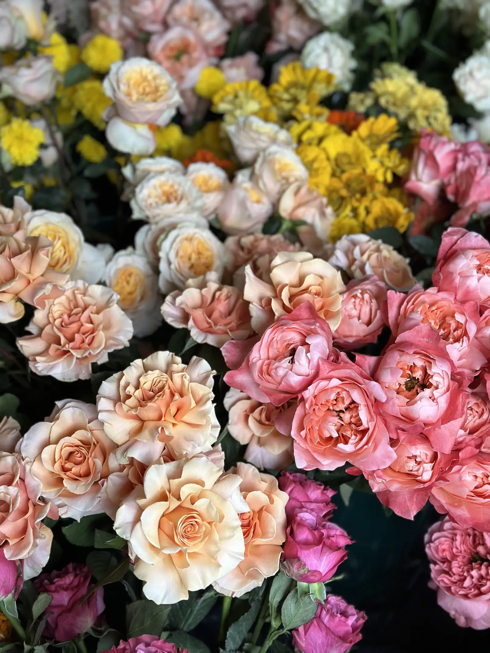 Ramo de flores en tonos durazno, rosa y amarillo para diseño floral estético, destacando textura y armonía cromática.