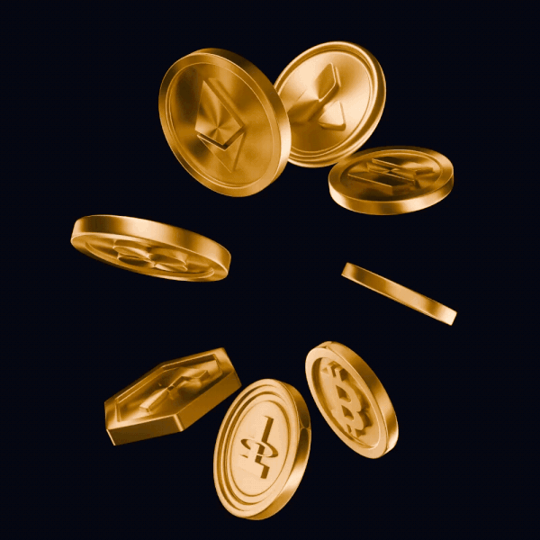 Project Gallery Image for 50% width of the screen #2