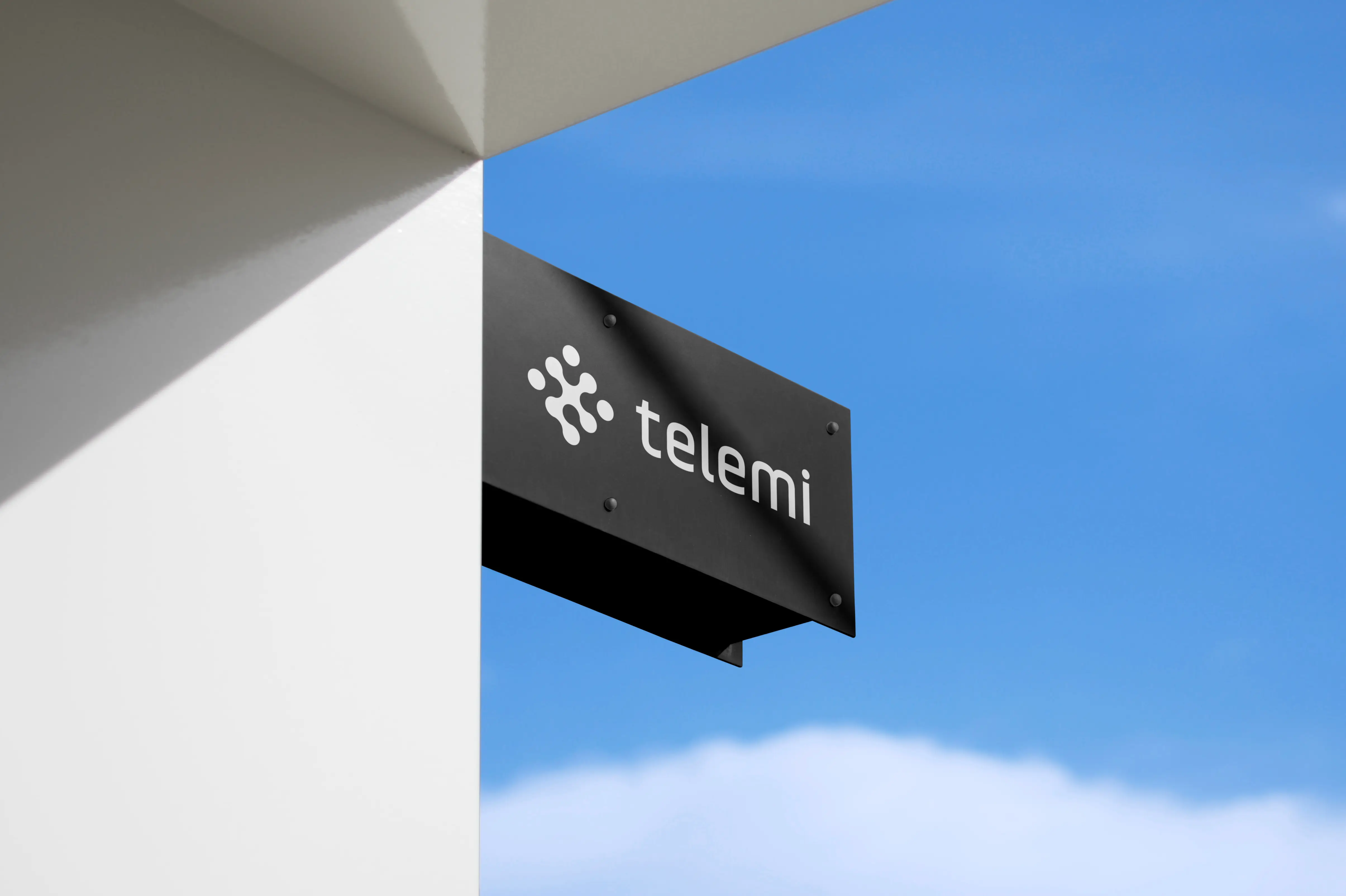 Color and logo preview telemi