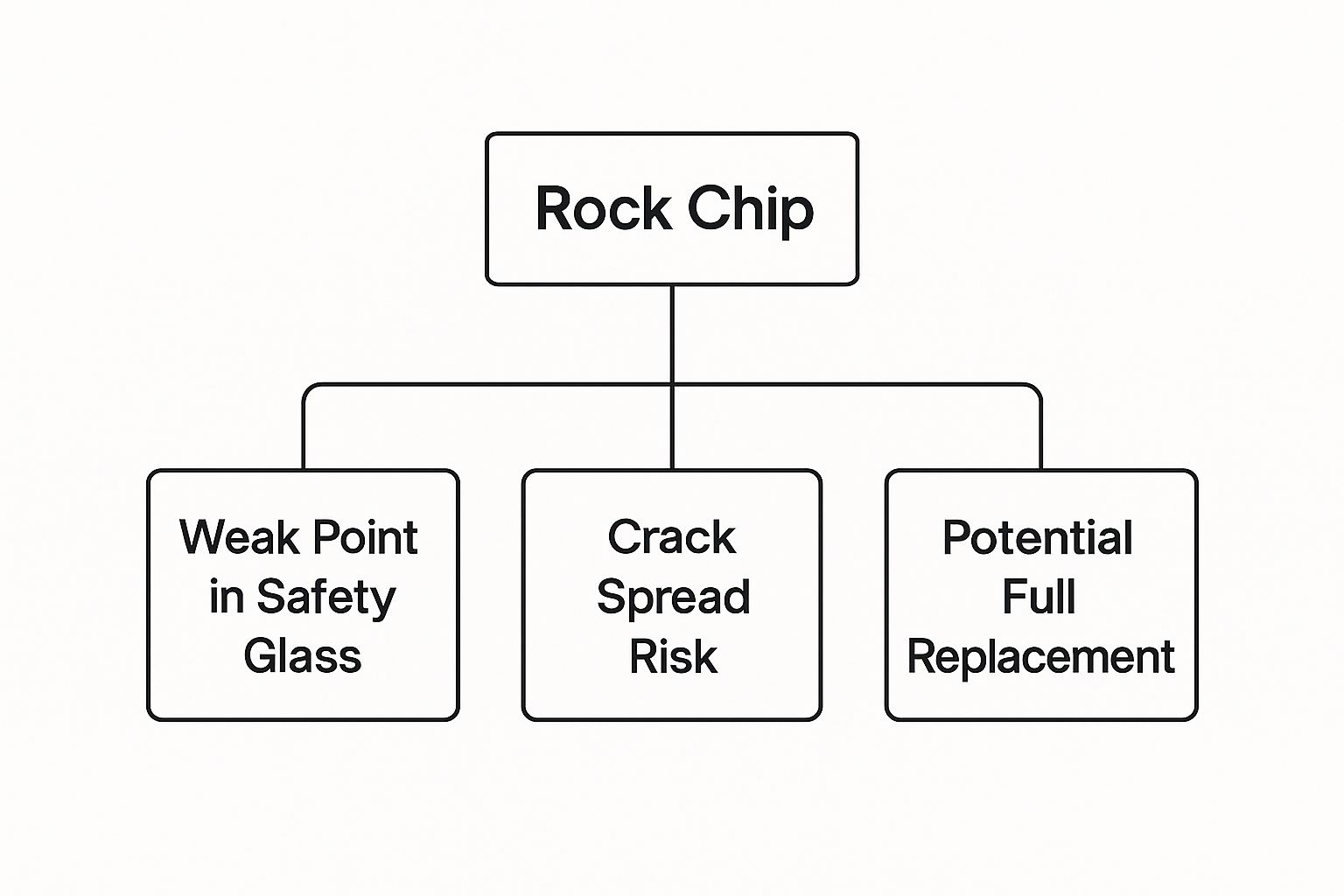 Infographic about rock chip in windshield