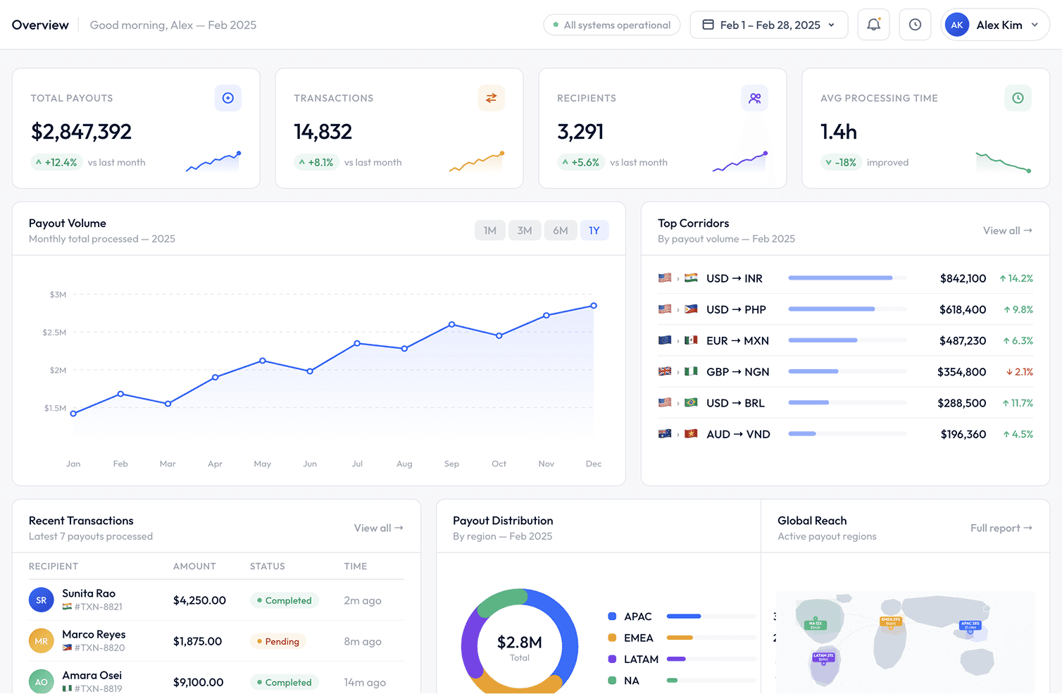 Financial dashboard for managing global payout operations and payment analytics
