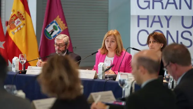 Inma Sanz presidiendo el consejo social de la ciudad