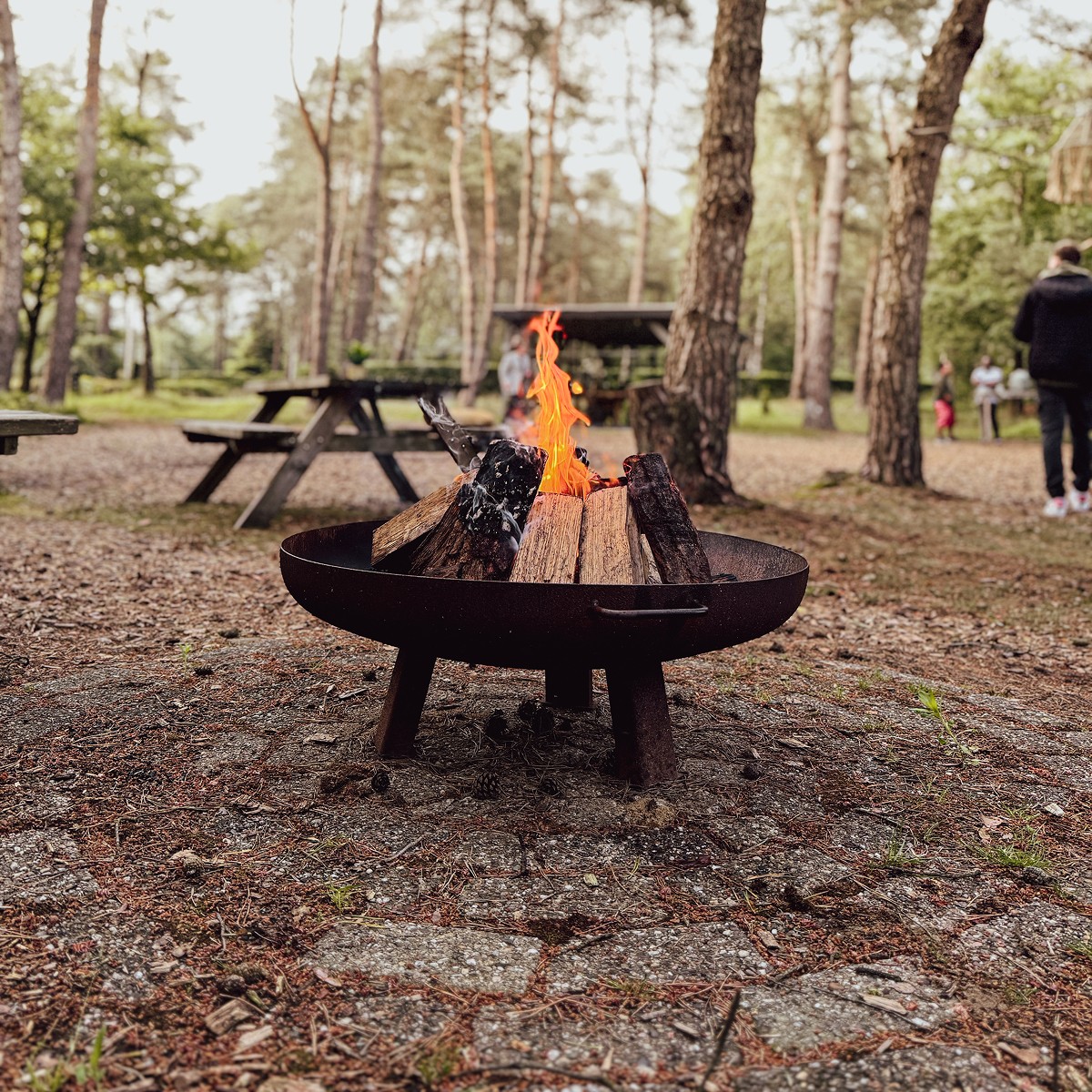 The image featured at the top of the about us page #2