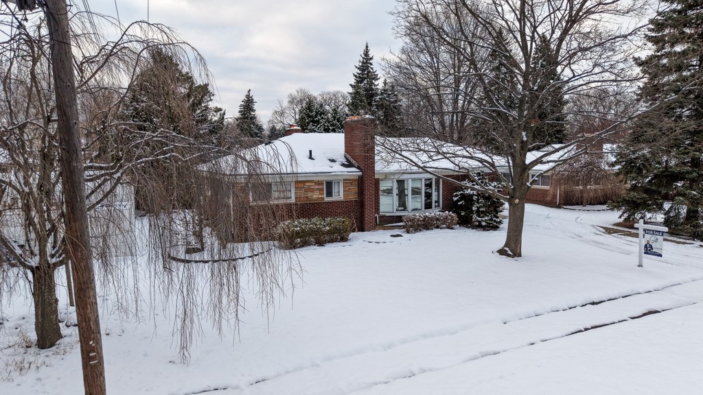 Album Photo Real Mehedi Free Framer Template Photography