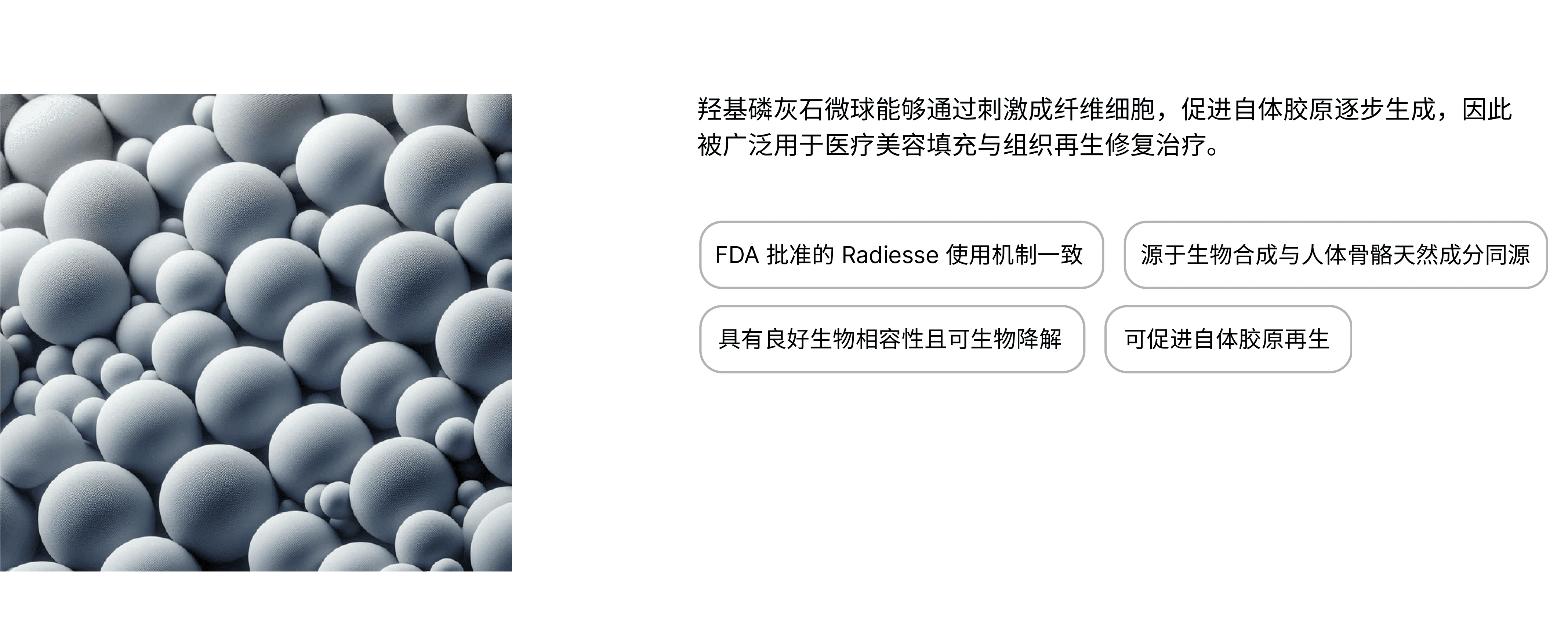 High-Purity Hydroxyapatite Microsphere Fillers for Aesthetic and Regenerative Applications