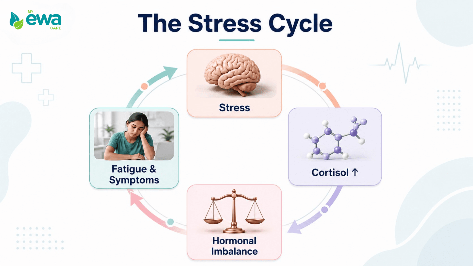 stress hormone cycle womens health