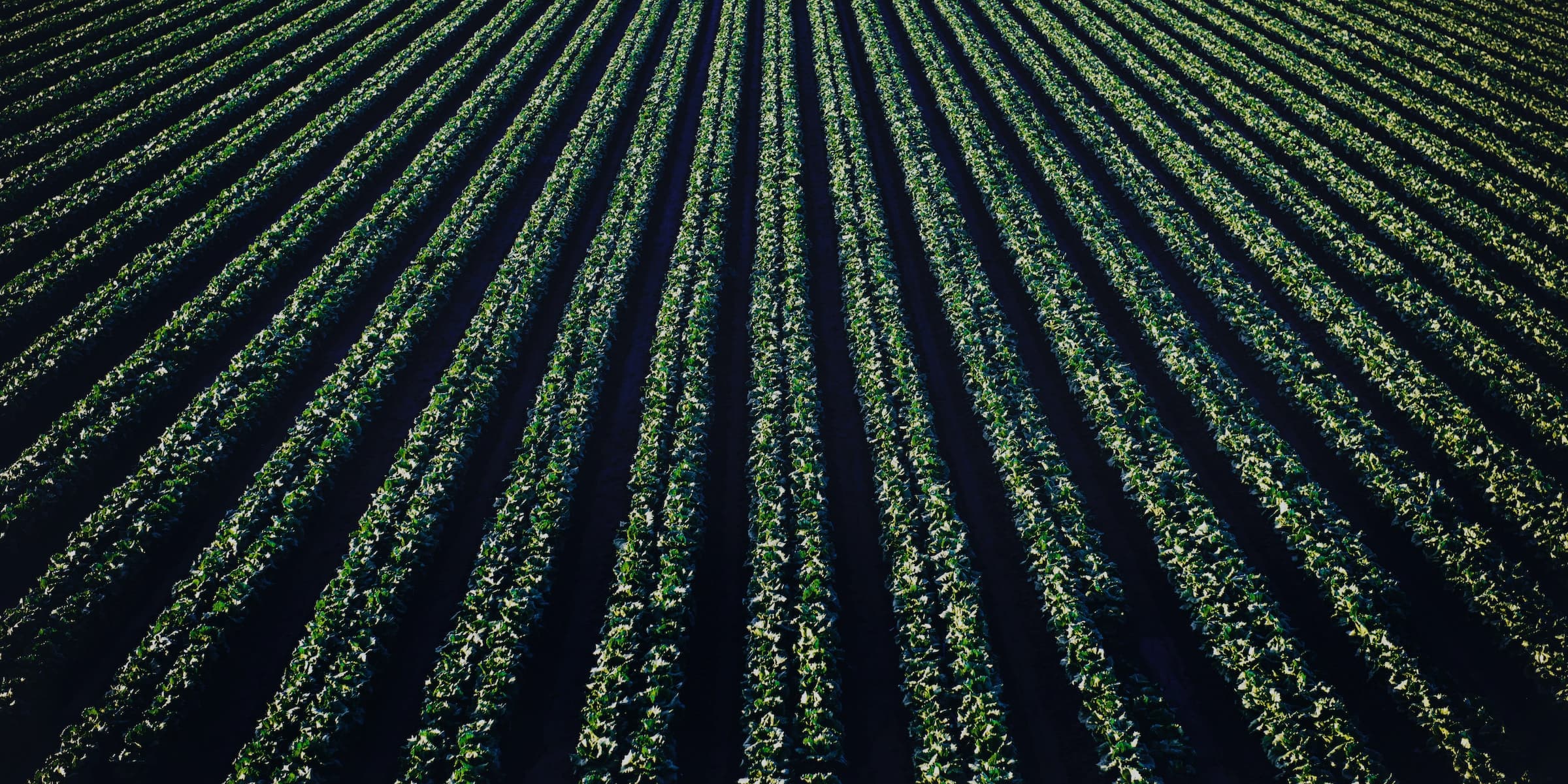 woman in blue tank top standing beside white wall