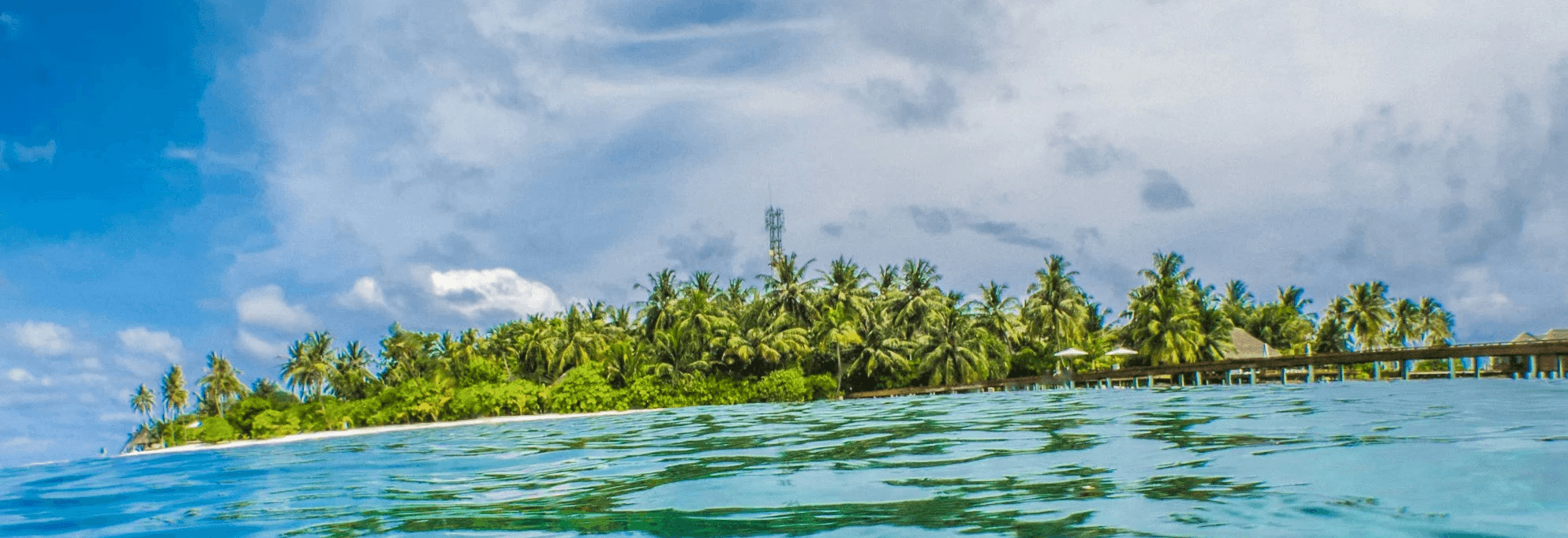 green-leafed trees surrounded by body of water during daytime