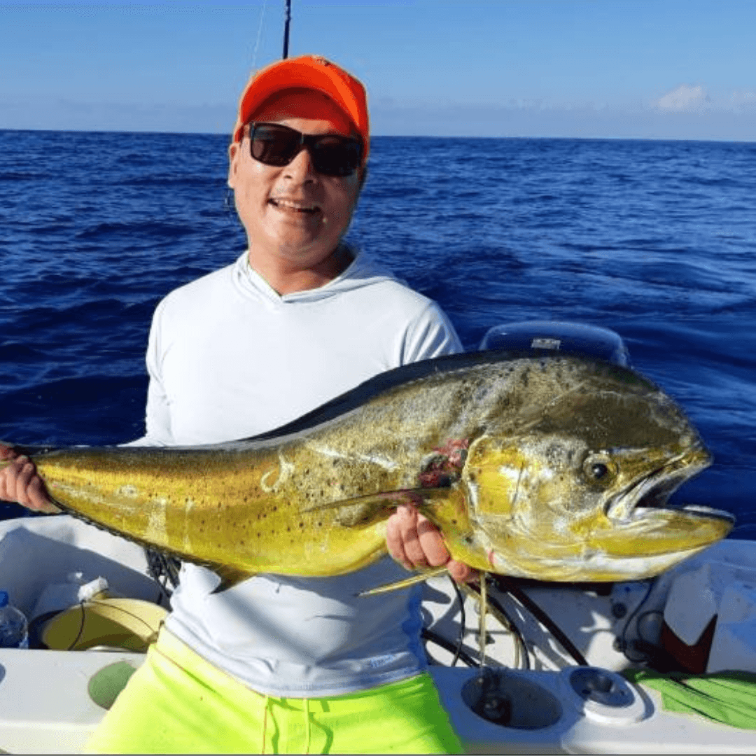 Mexico, jack, rooster, sailfish, mahi mahi
