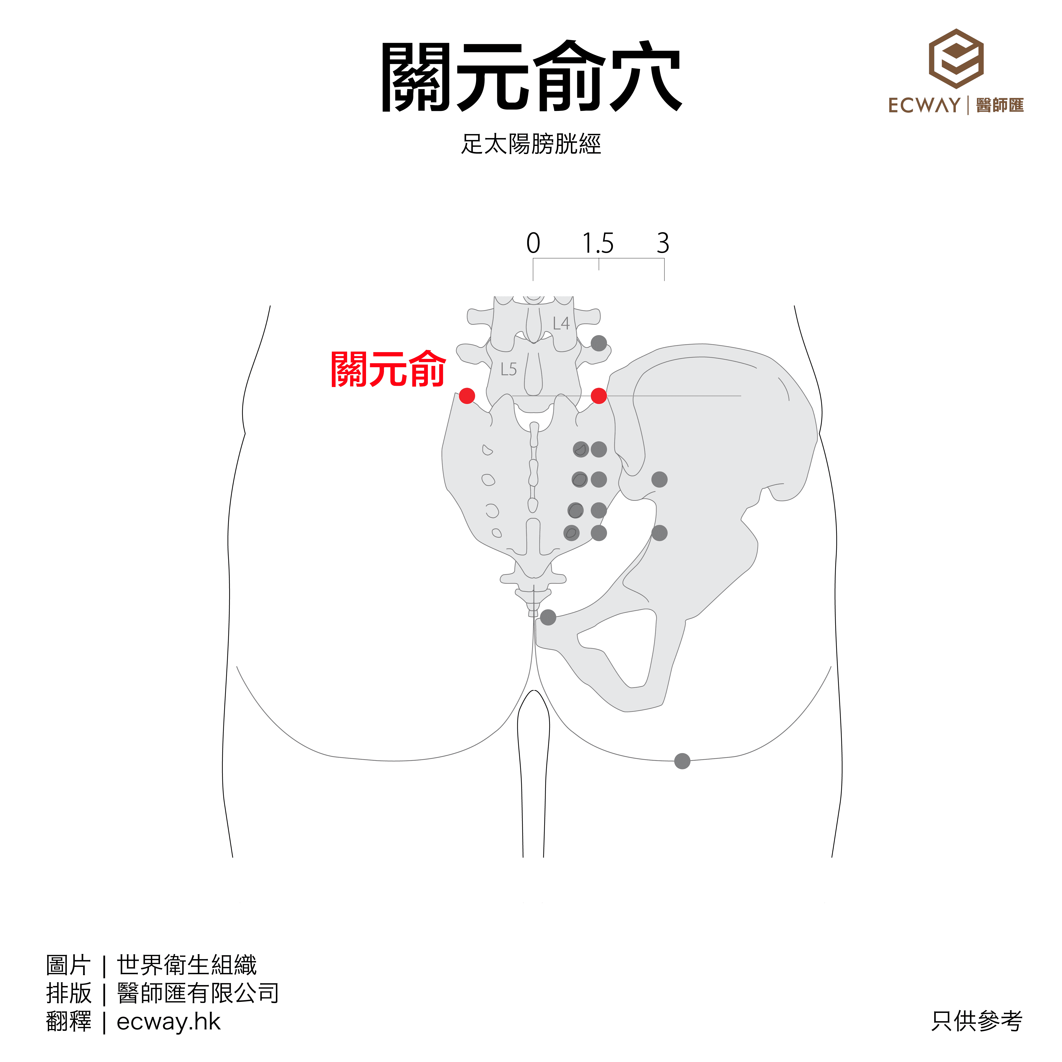 關元俞穴