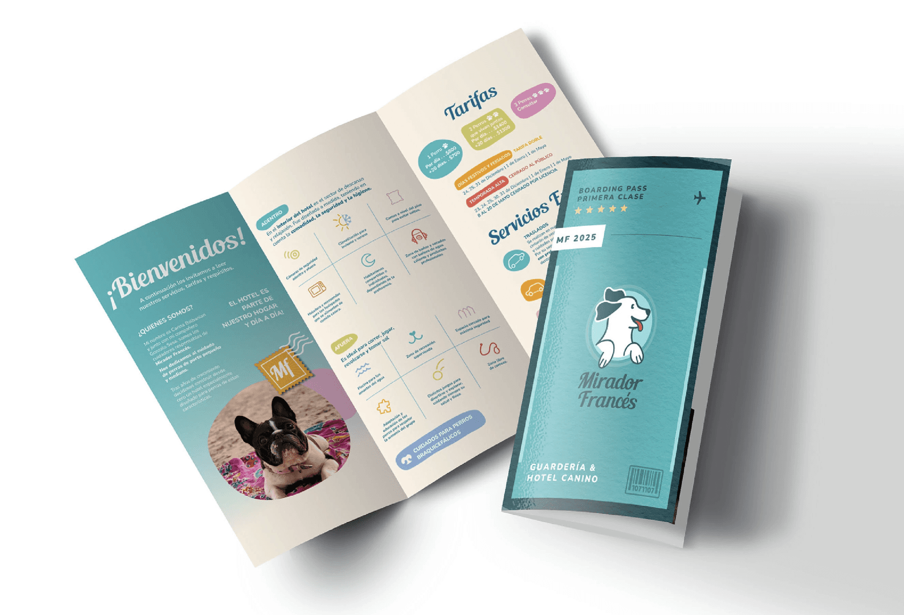 Large Project Gallery Image #2