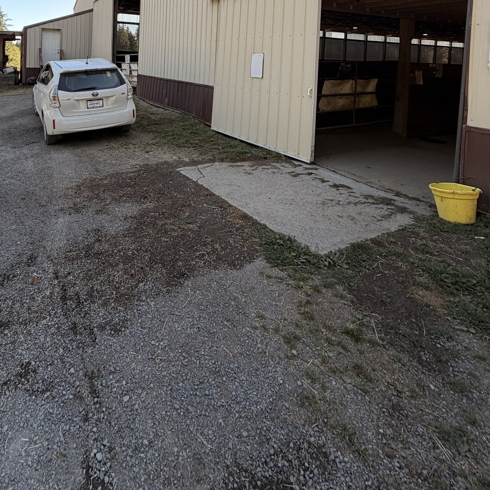 After: metal barn siding soft wash by Peterson Property Services in Granite Falls, WA