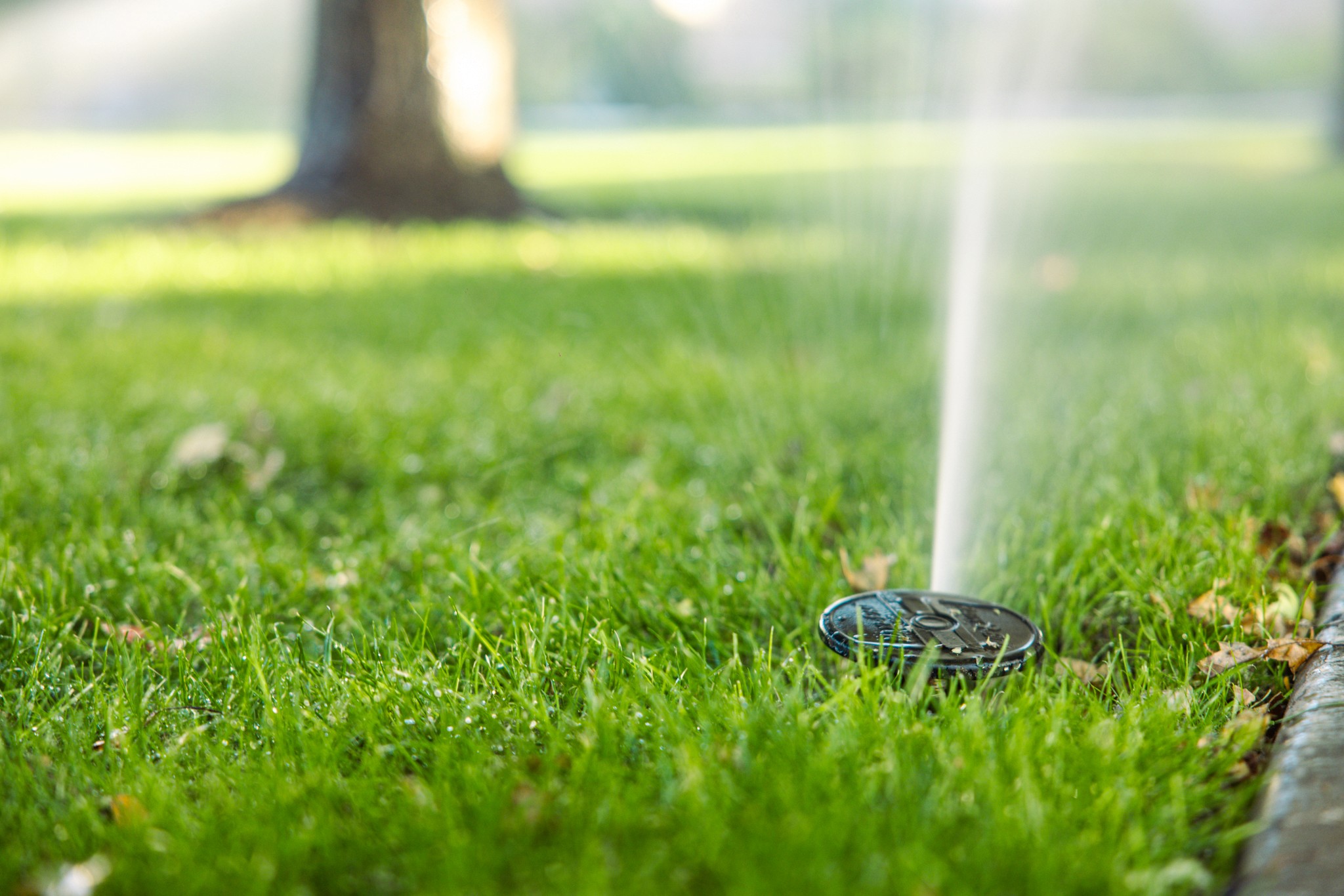 Seasonal sprinkler startup service in Utah
