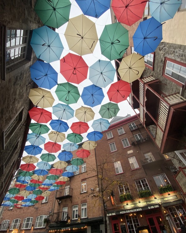 Picture od umbrellas in canada