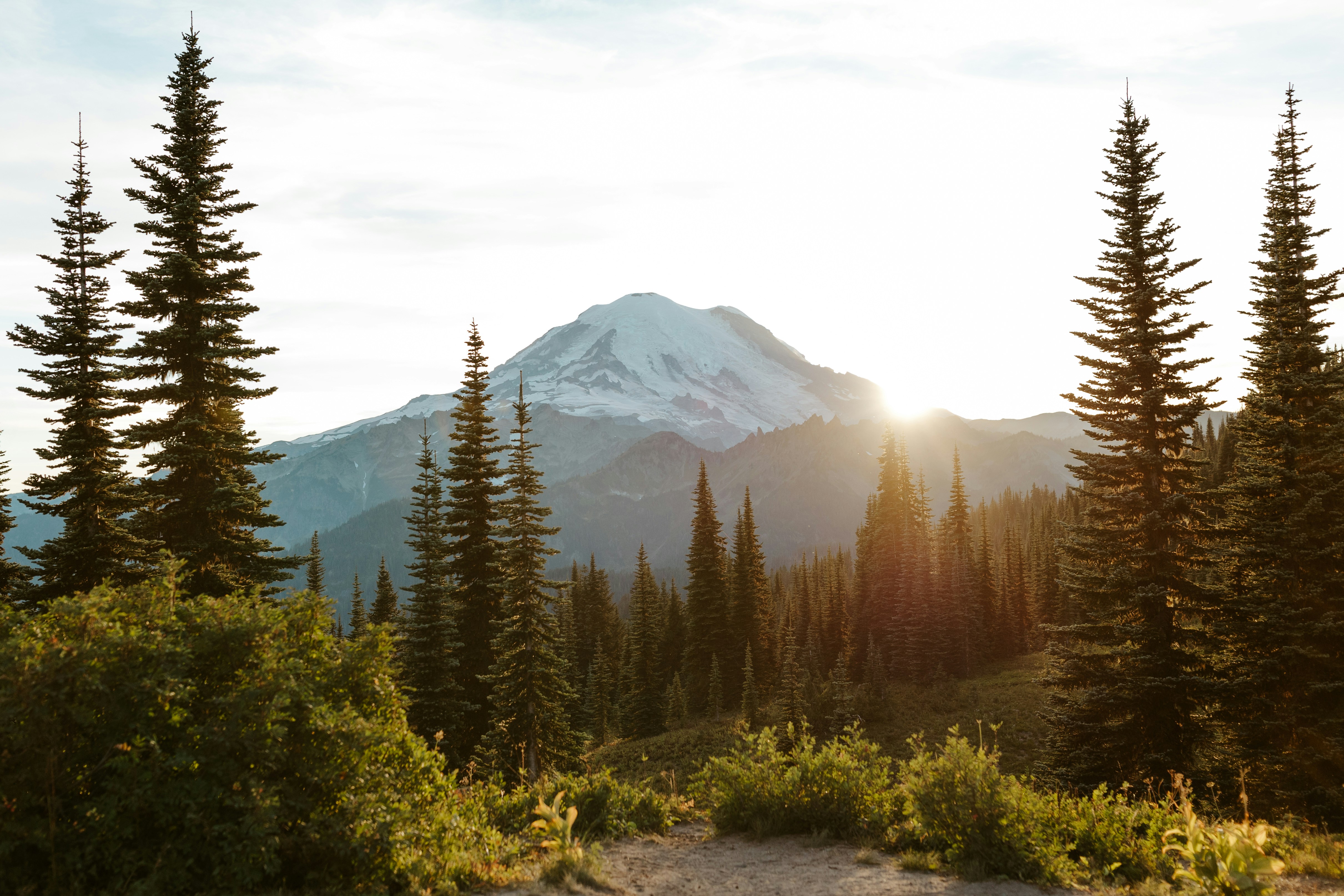 A view of a mountain with trees in the foreground