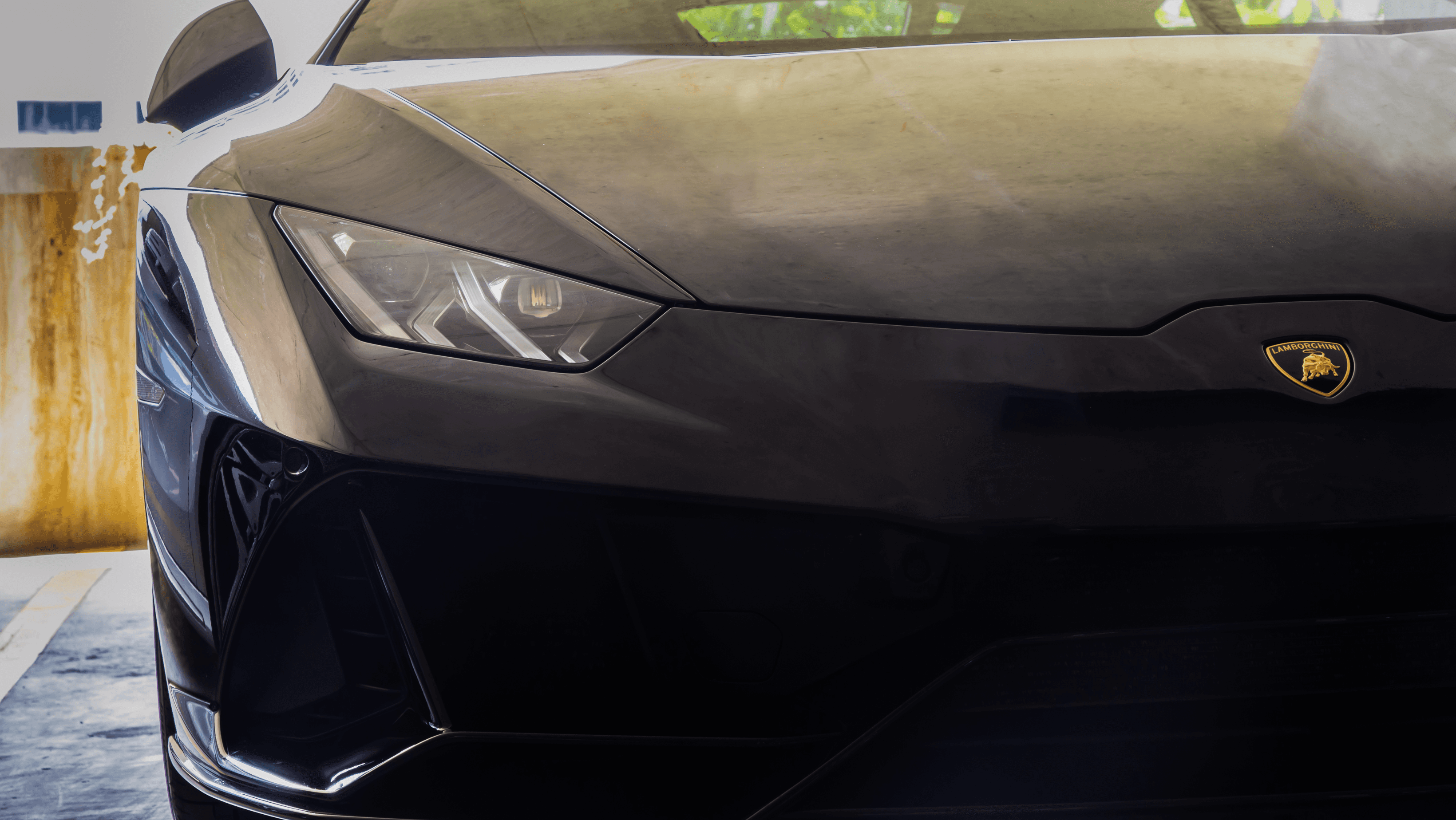 Bathroom and Kitchen