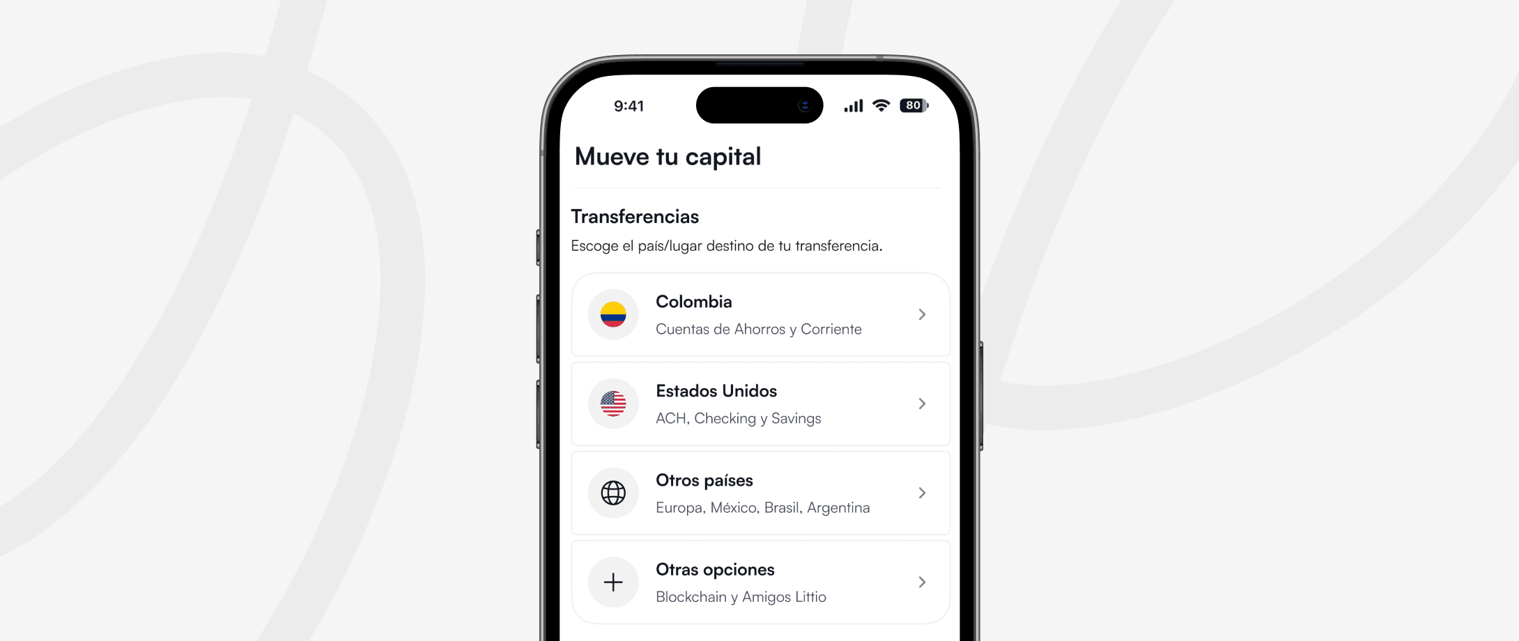 ¿Cómo hacer uso del capital que tienes en Littio?