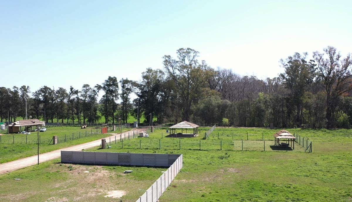 Lotes Para Todos - Las Magnolias