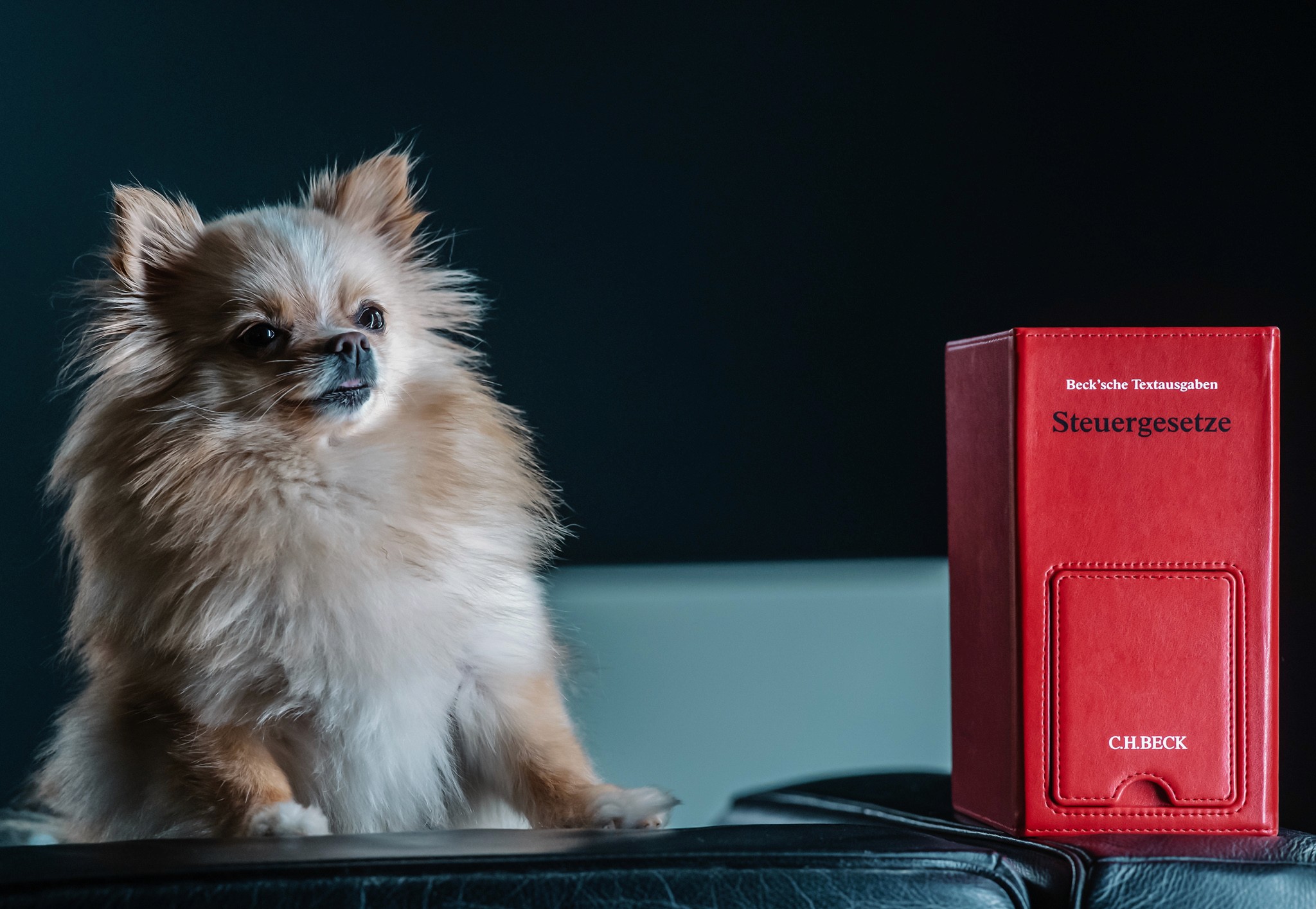 Team member standing