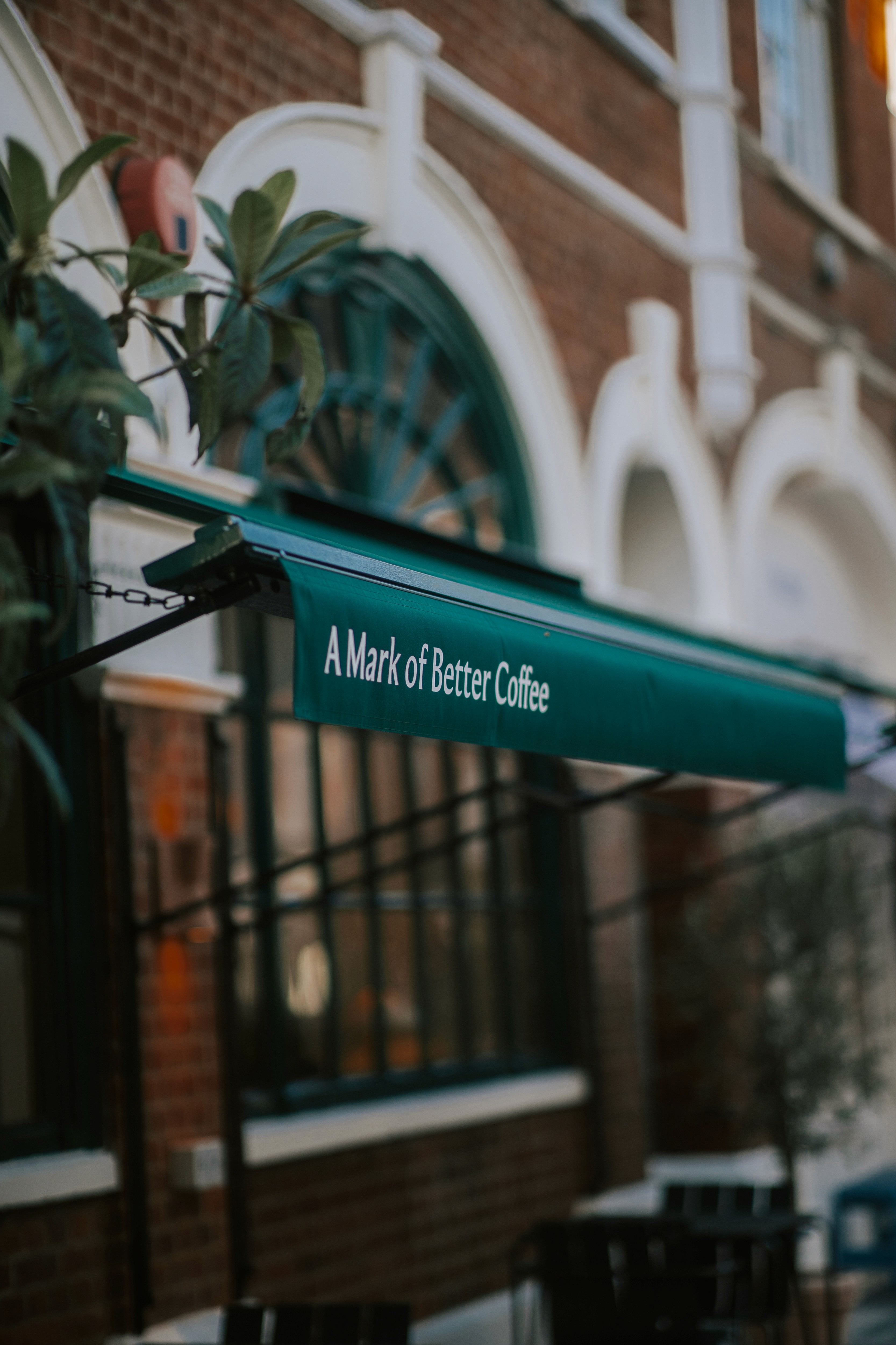 Workshop Coffee – GEORGE COSBY STUDIO | Brand Worlds Built At Moments Of Change