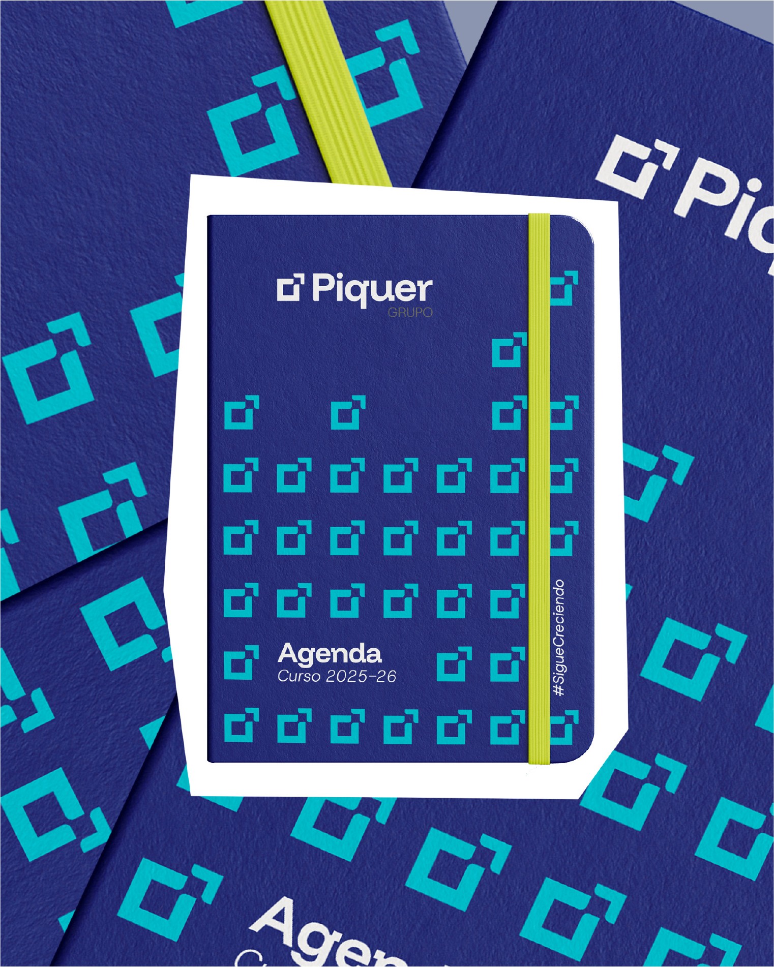 Project Gallery Image for 50% width of the screen #2