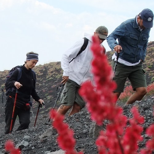 Monte Etna: Bilhetes para excursão de Catania em Nicolosi