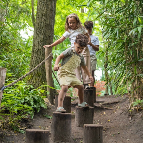 Explore the park on the adventure trails
