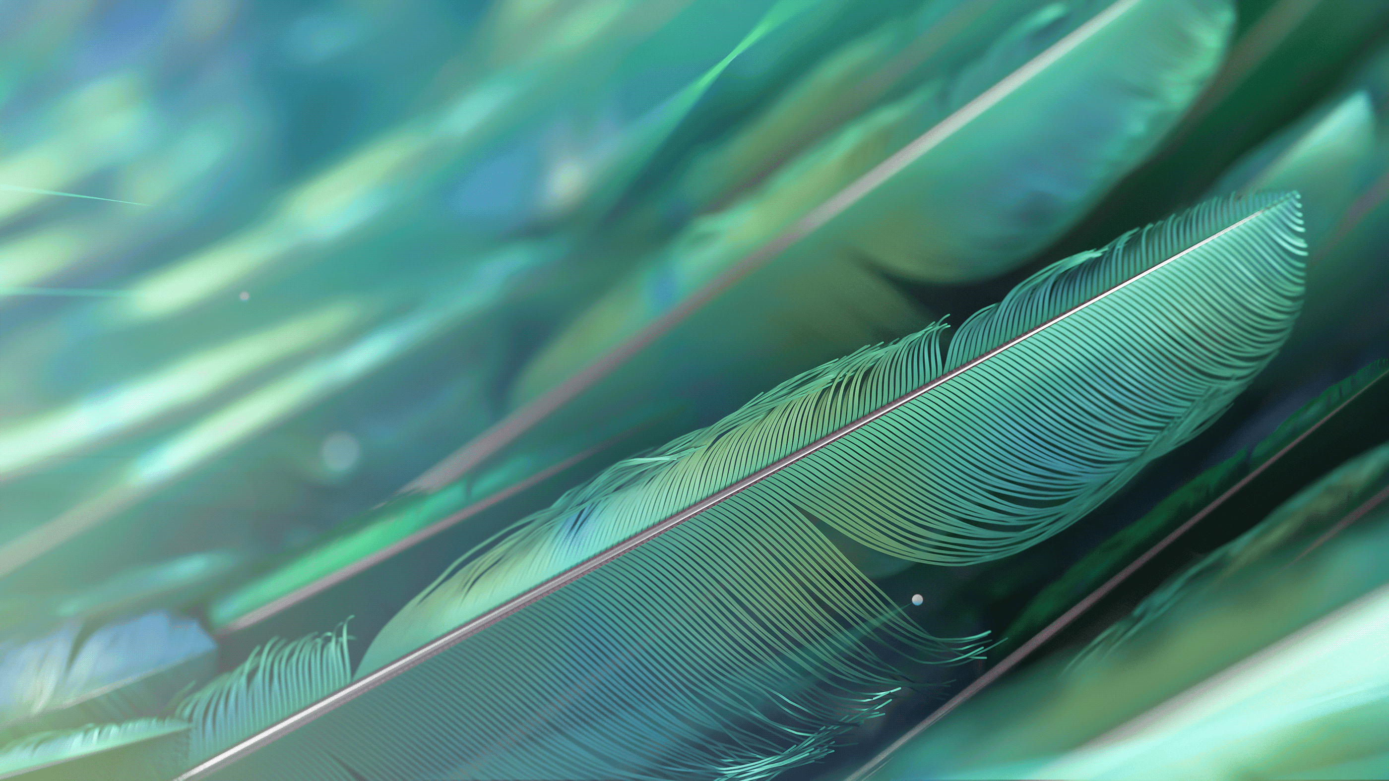 Clean and modern 3D animation representing financial flow for Bird Capital by Este Studio