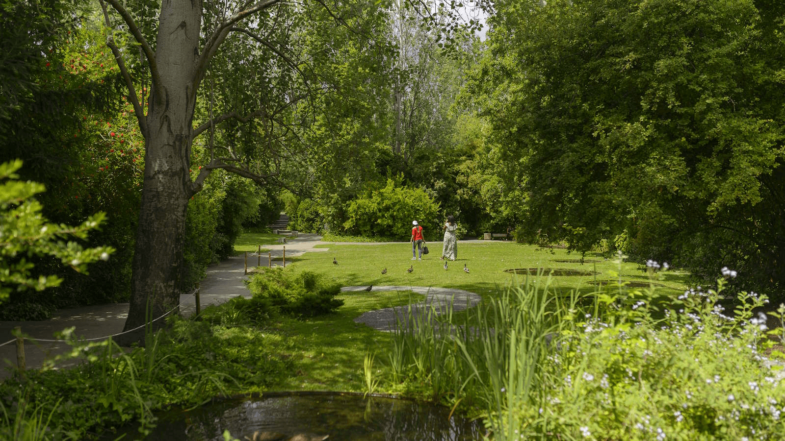 Gulbenkian Garden