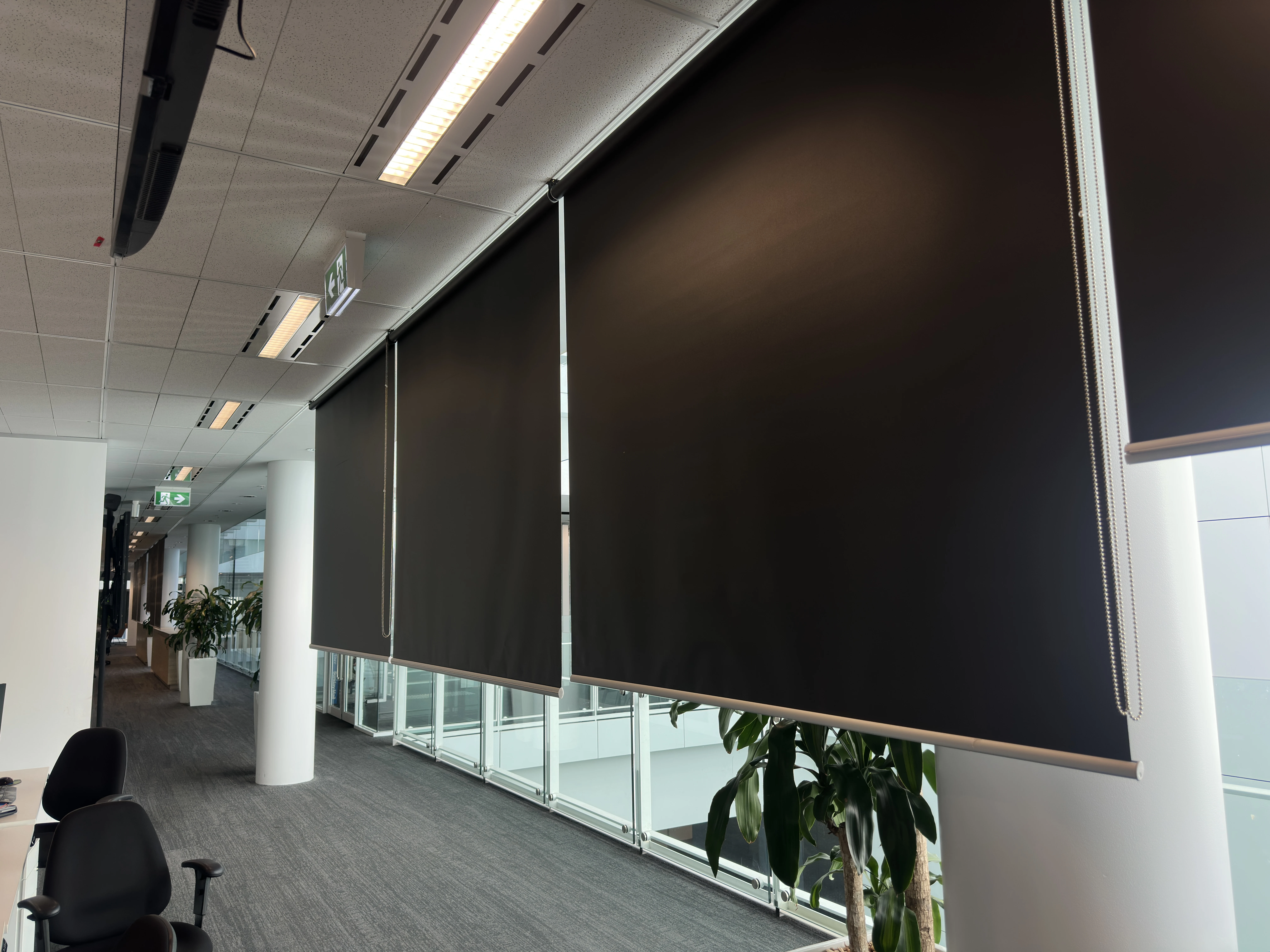 Commercial blockout roller blinds fitted at The Advertiser Building Adelaide