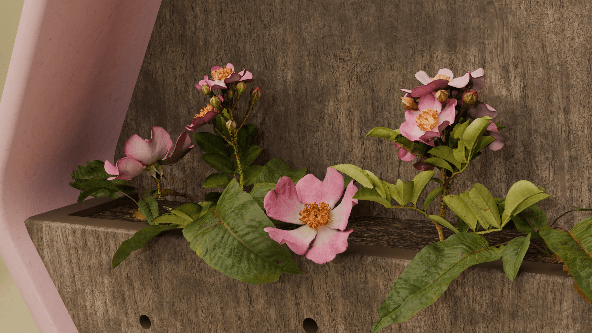 The image featured at the top of the about us page #2