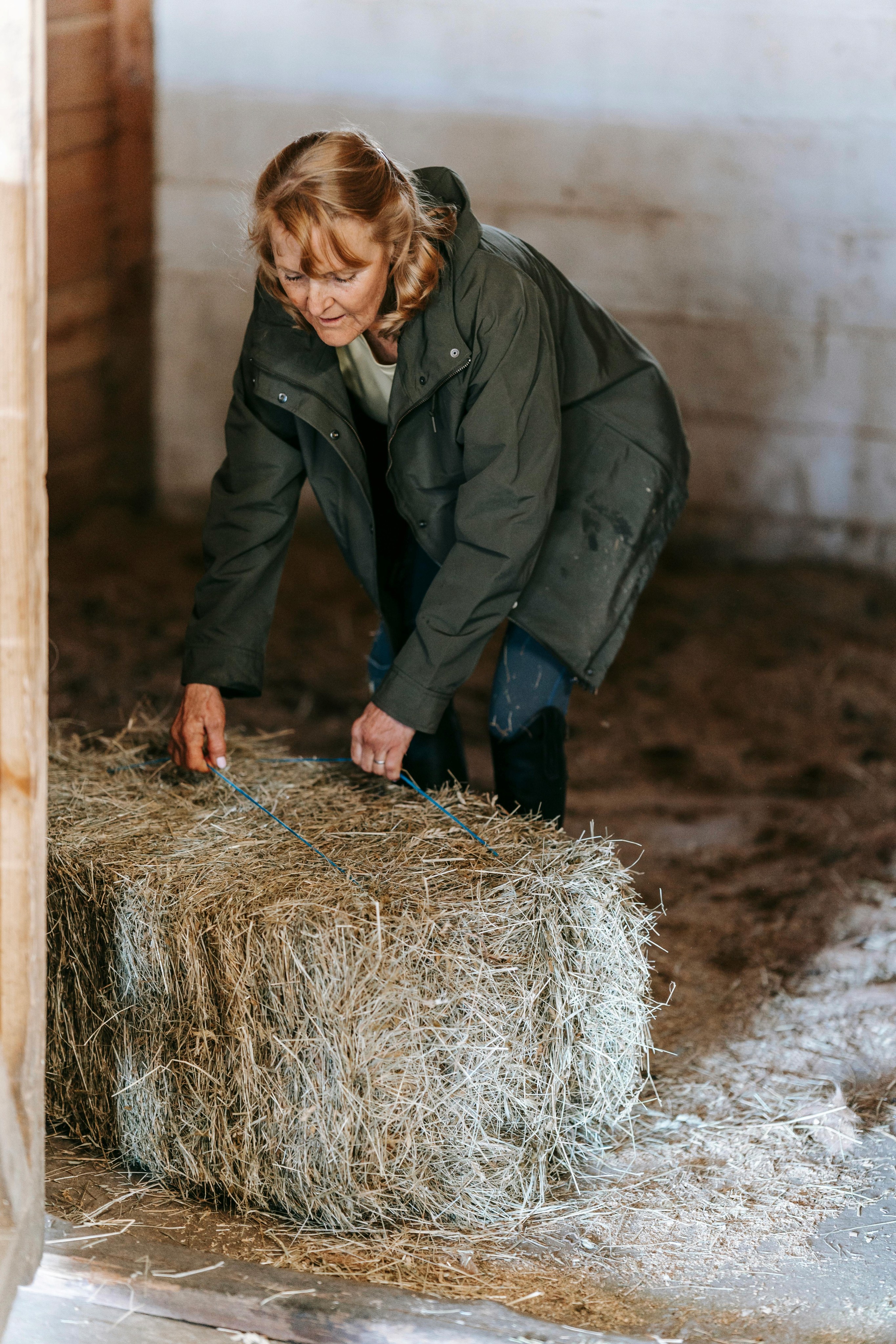 An older woman in a green jacket leans over a bale of hay in a barn, holding the blue twine.