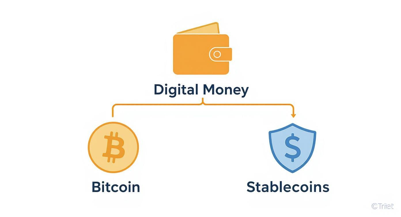Infographic about digital money investment