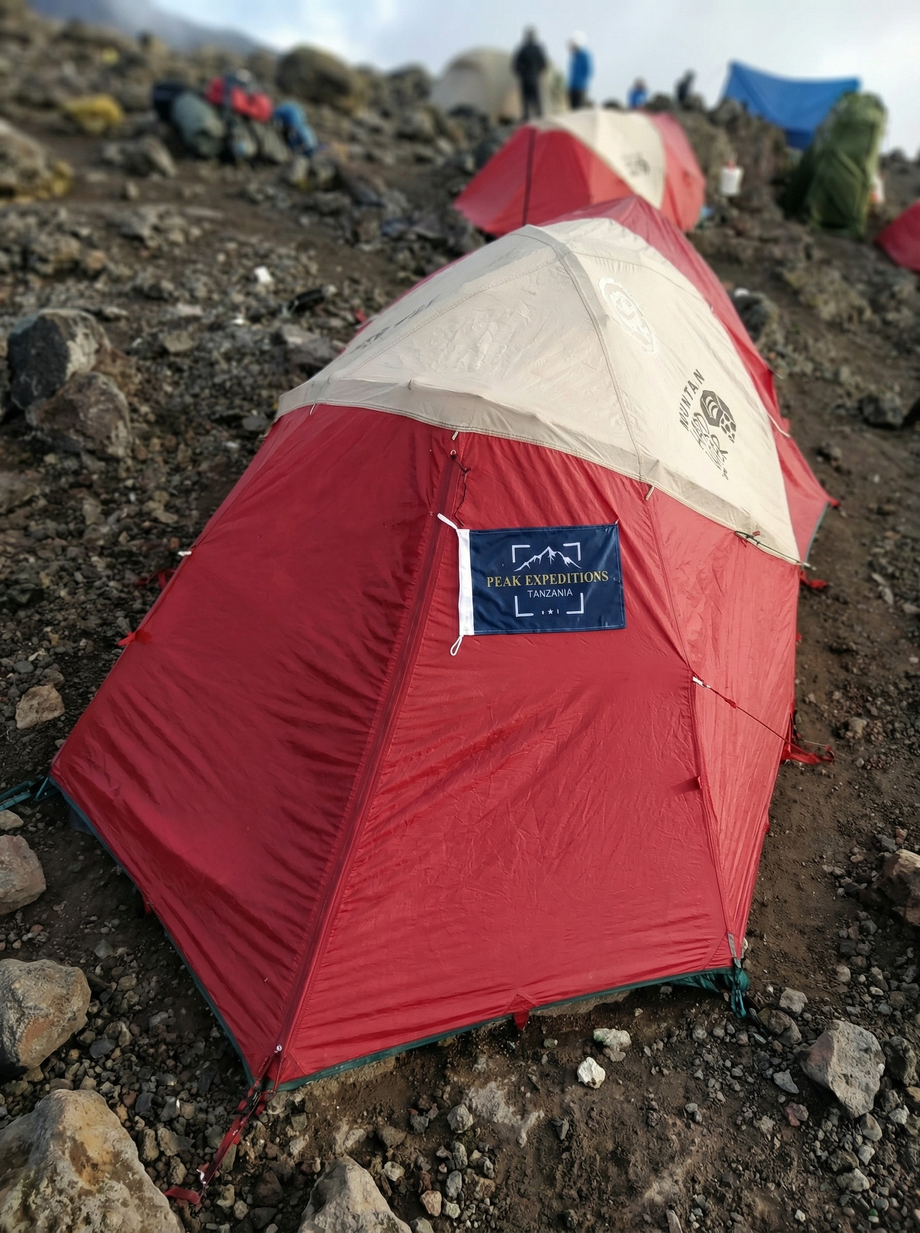 Desert journeys in AlUla — sunset views, canyon trails, and golden dunes.