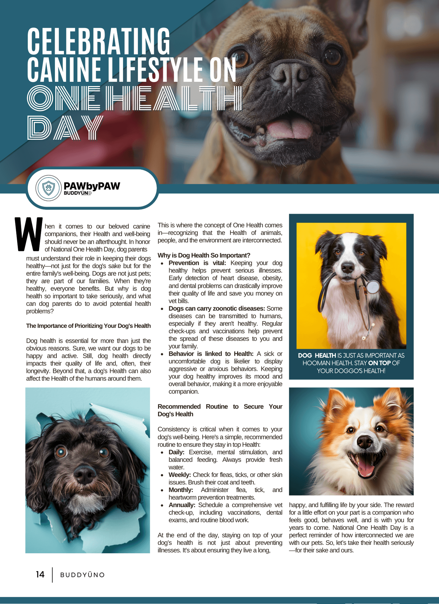 buddyuno, dog magazine, page 14