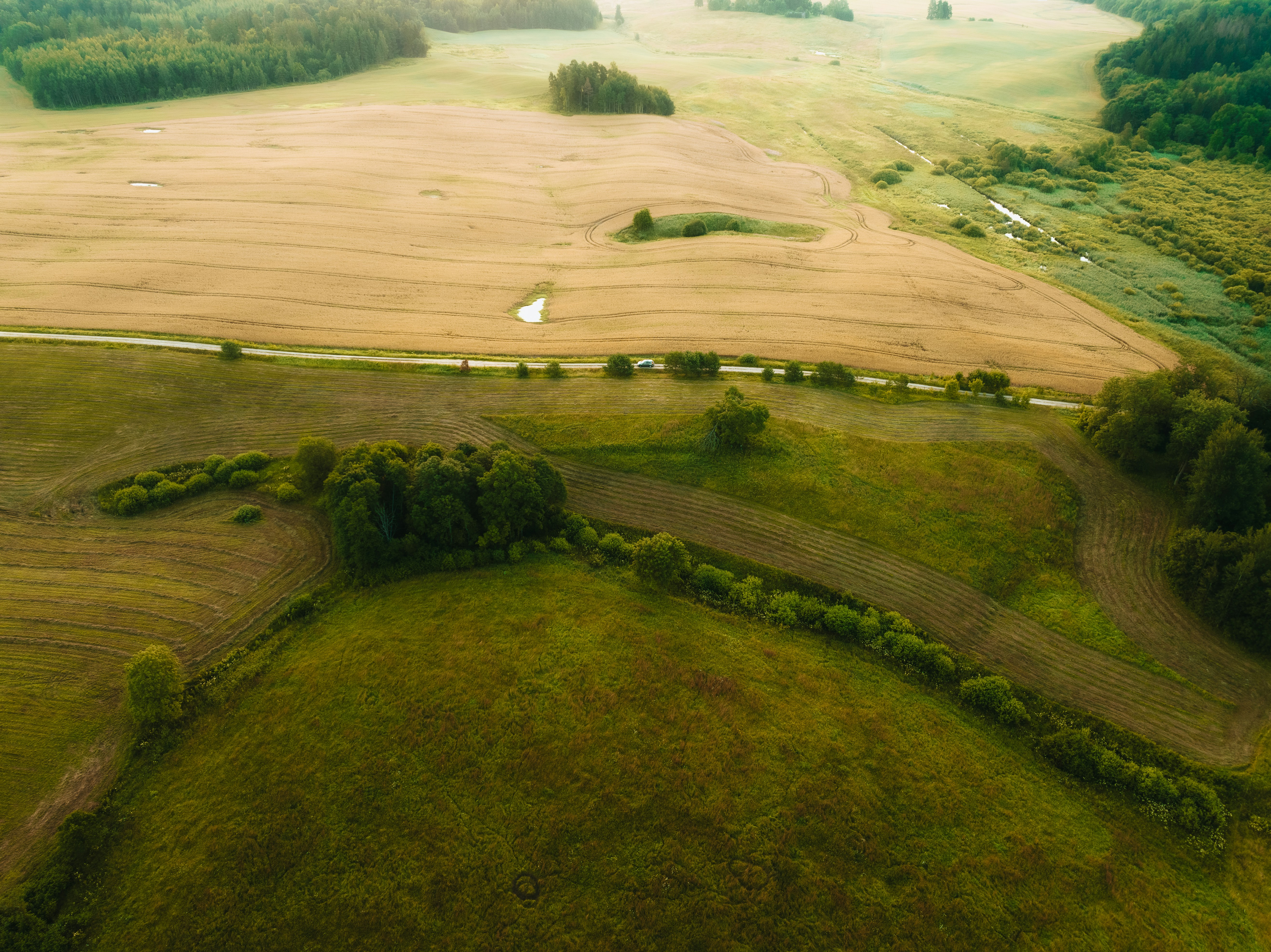 Picture of landscape