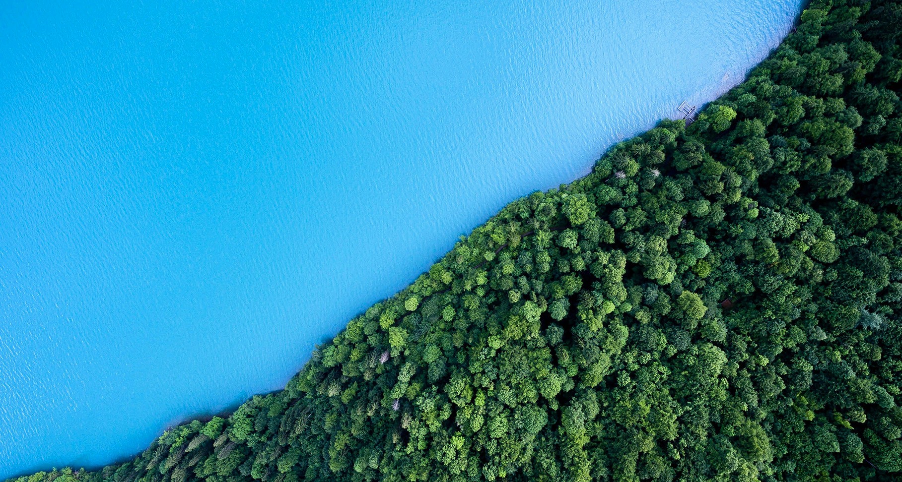 Trees and water