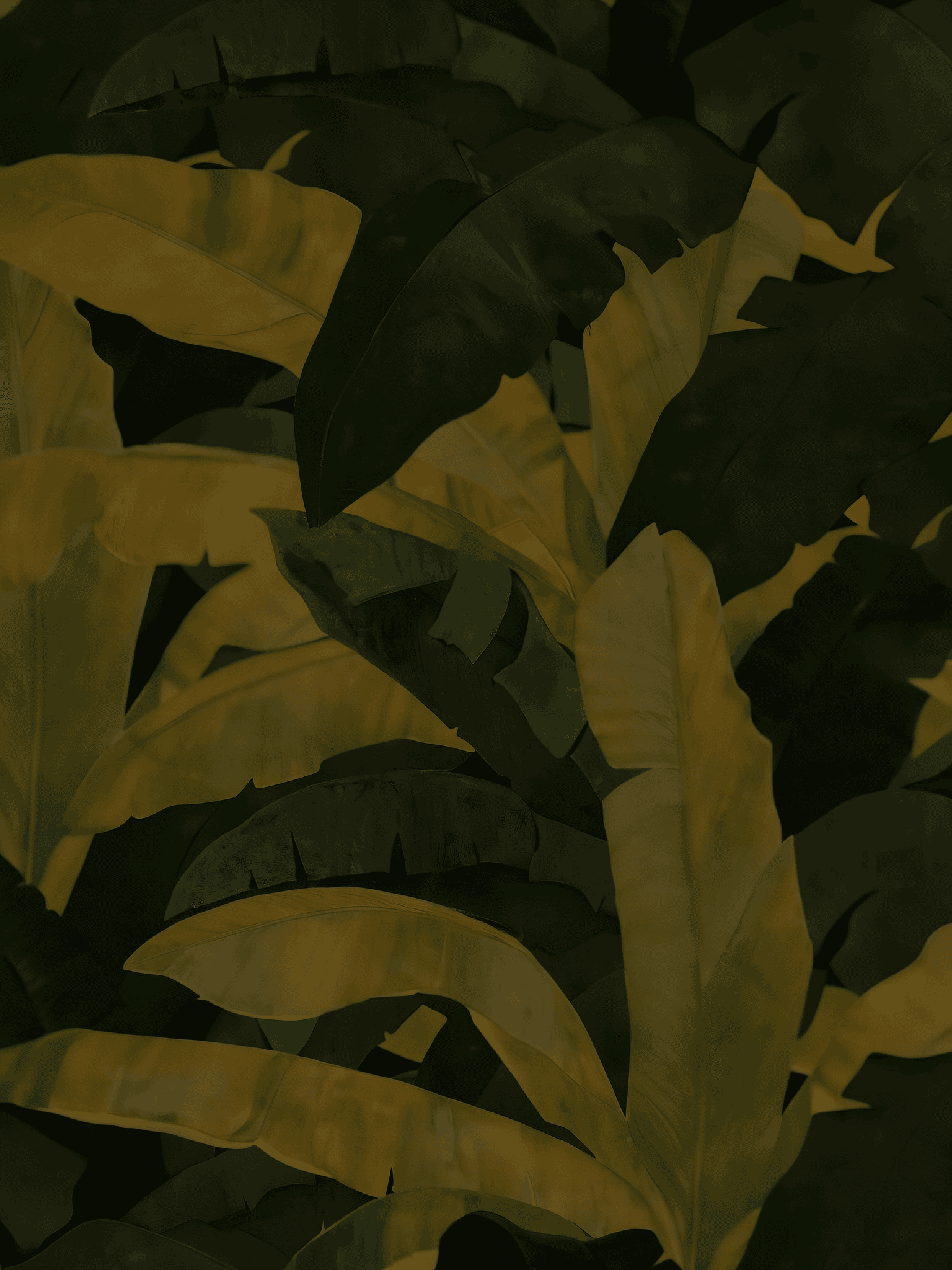 White mountain. AI-generated.