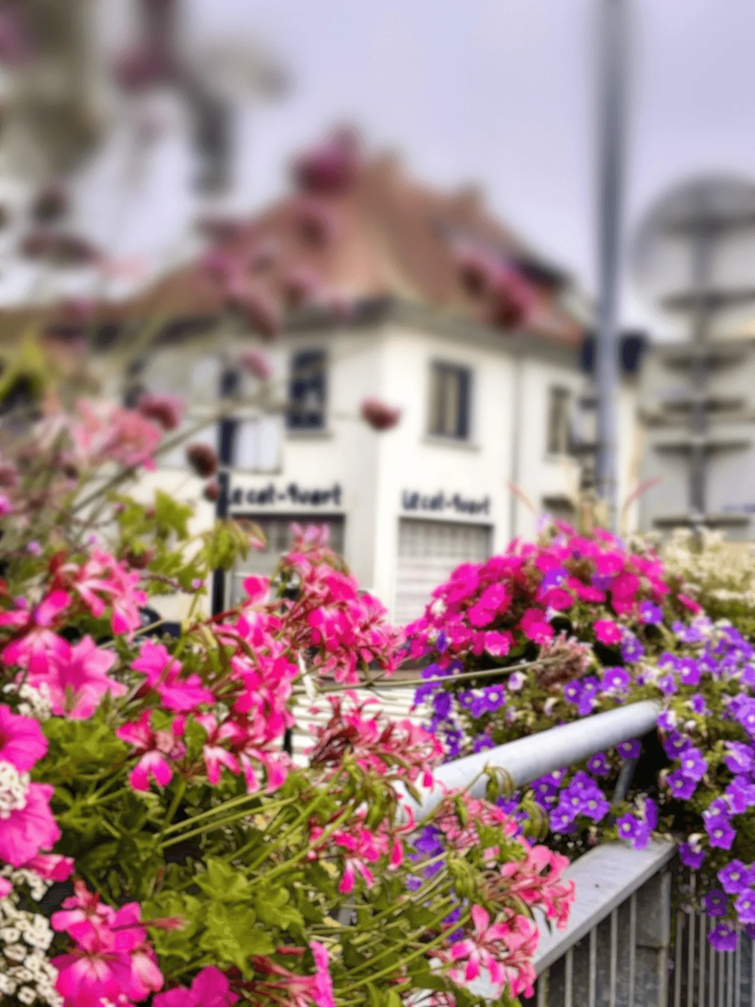 cafe-vue-exterieur