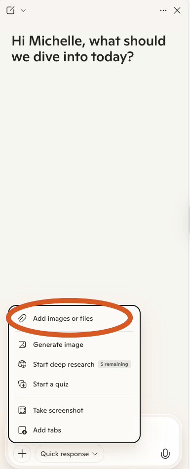 Microsoft Copilot screenshot