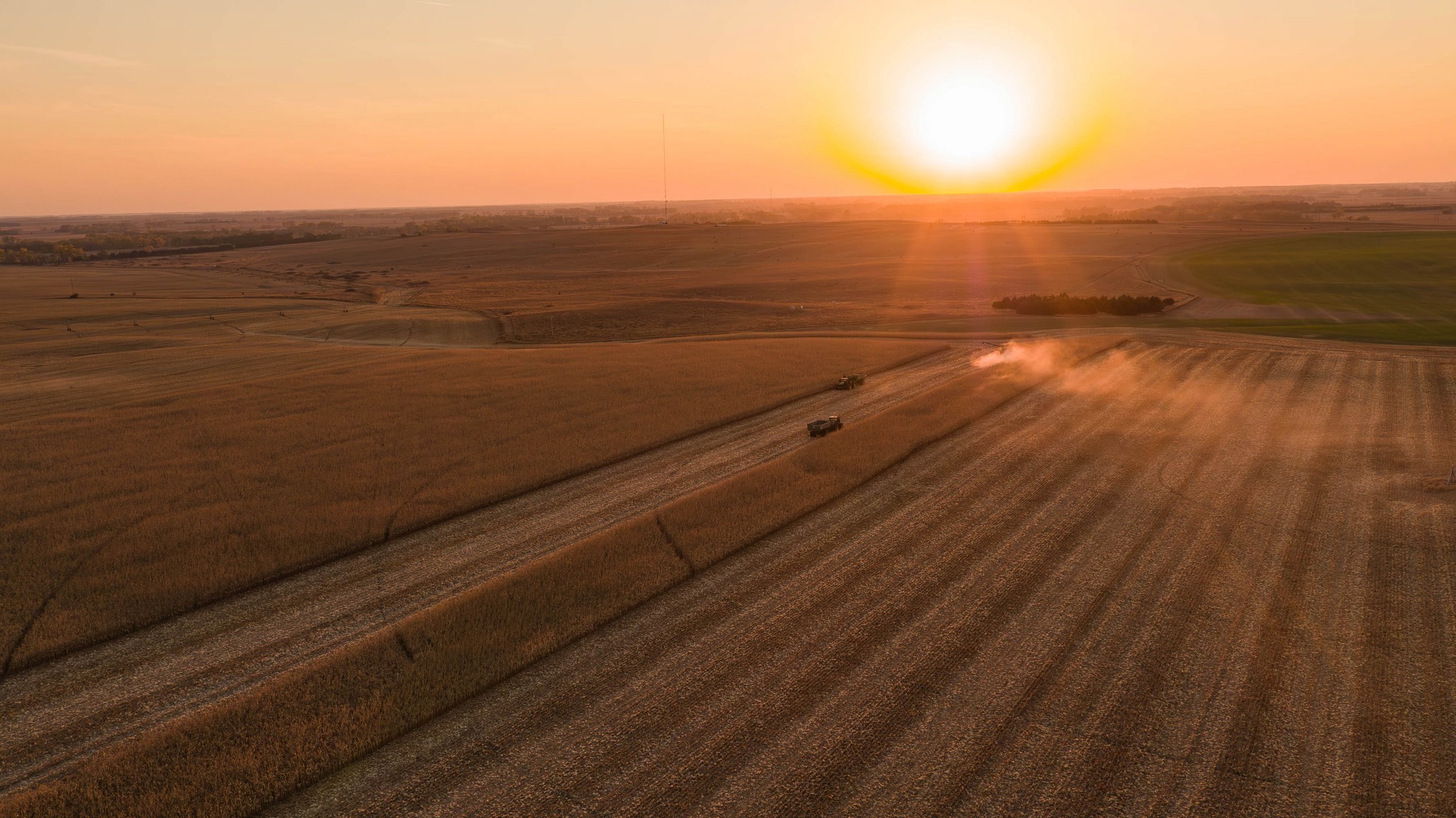 harvest photographer
