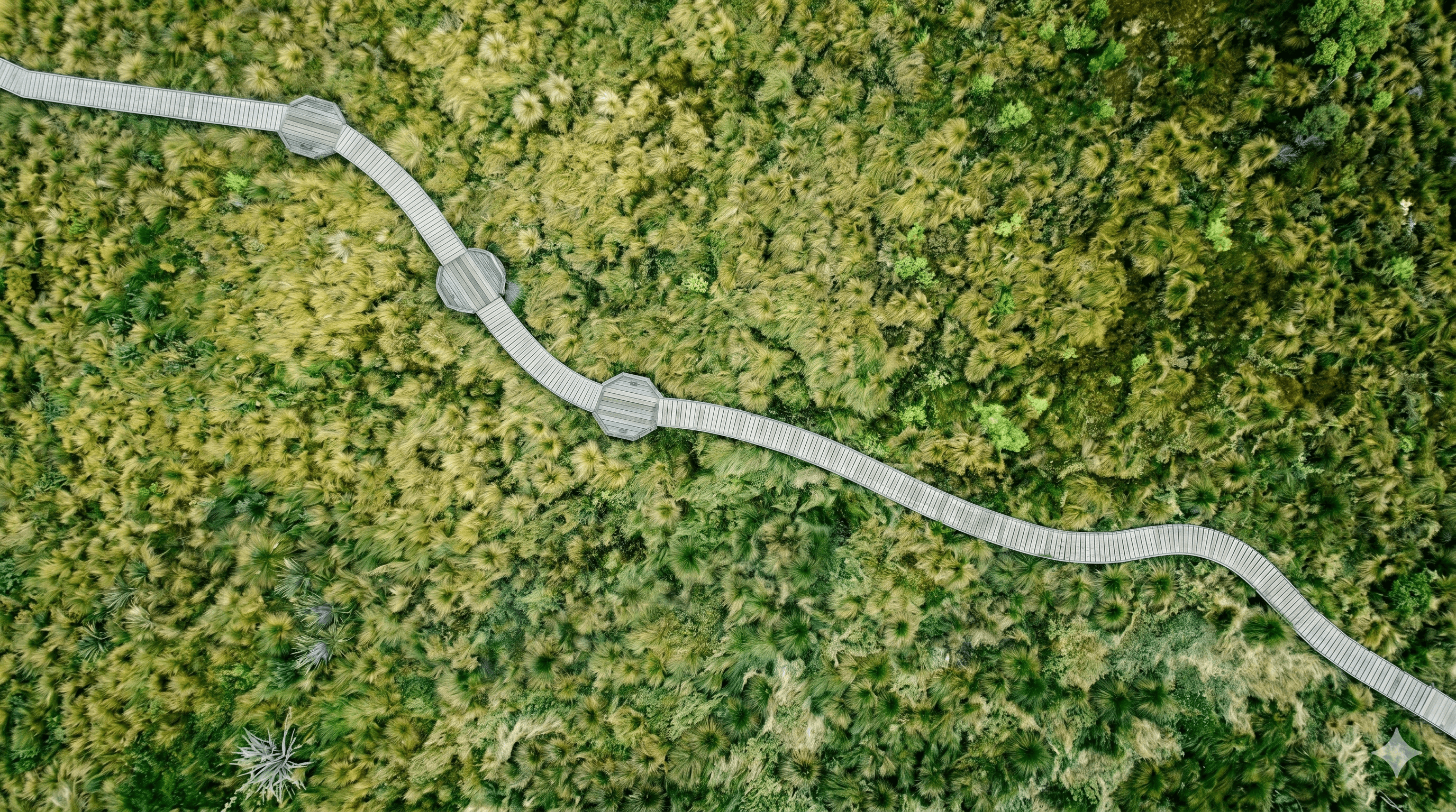 Symbolbild für einen SBTi-Reduktionspfad nach dem 1,5-Grad-Pfad des Pariser Abkommens für Unternehmen