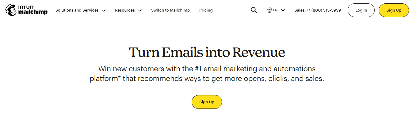 Mailchimp - Automated Lead Generation