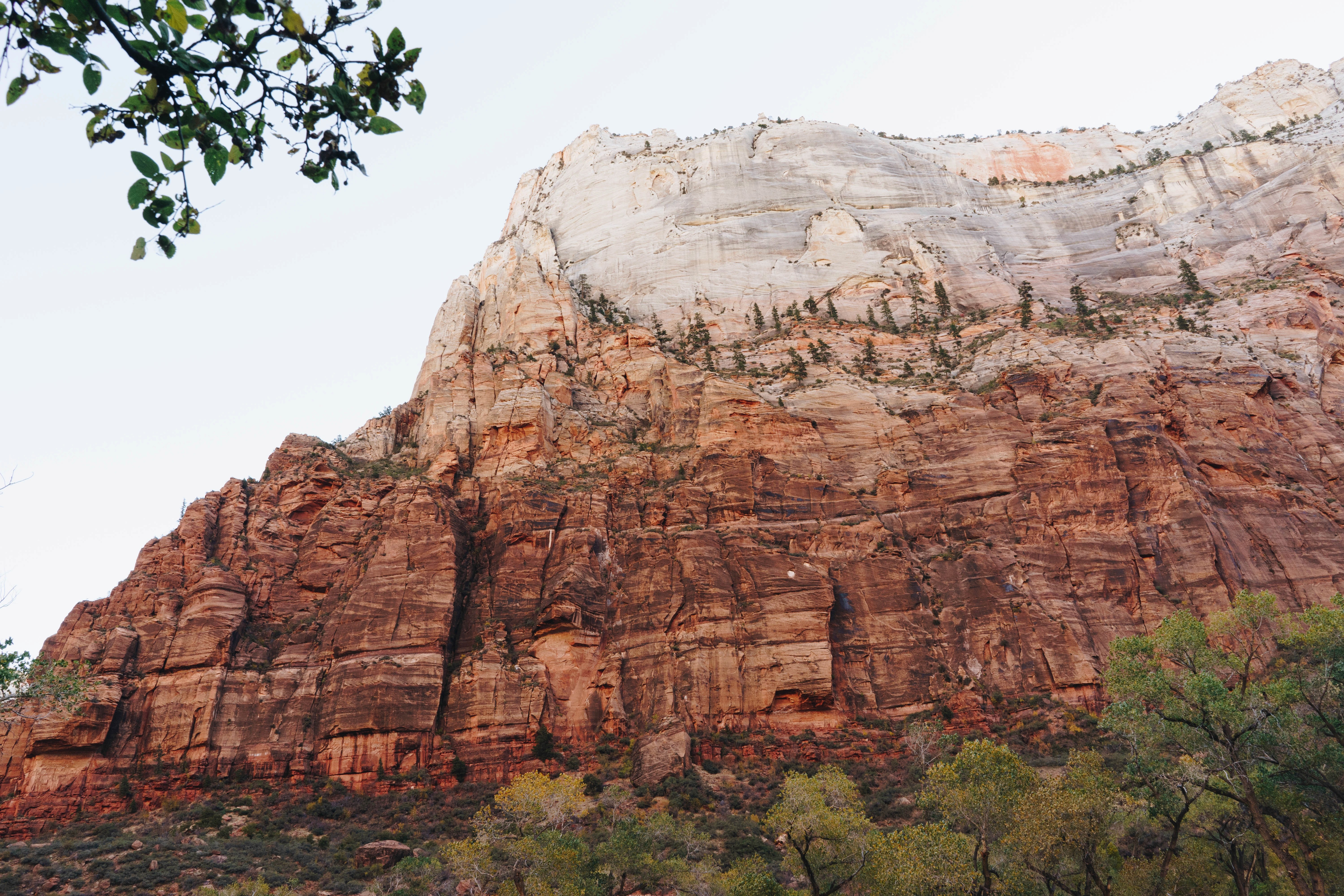 Frame hotel and resort template. Easy to edit. No code.