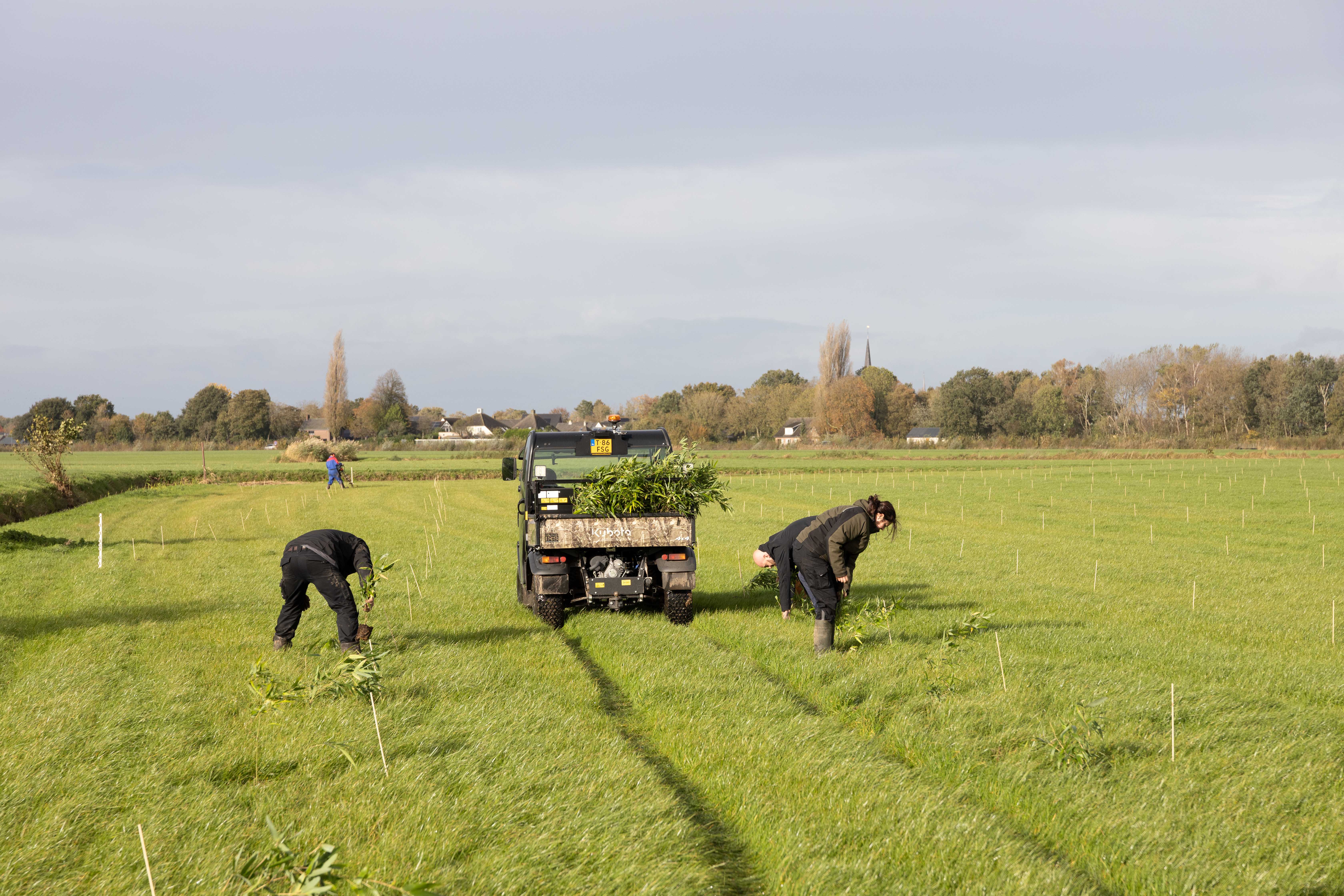 bamboofarm_nederland_haps